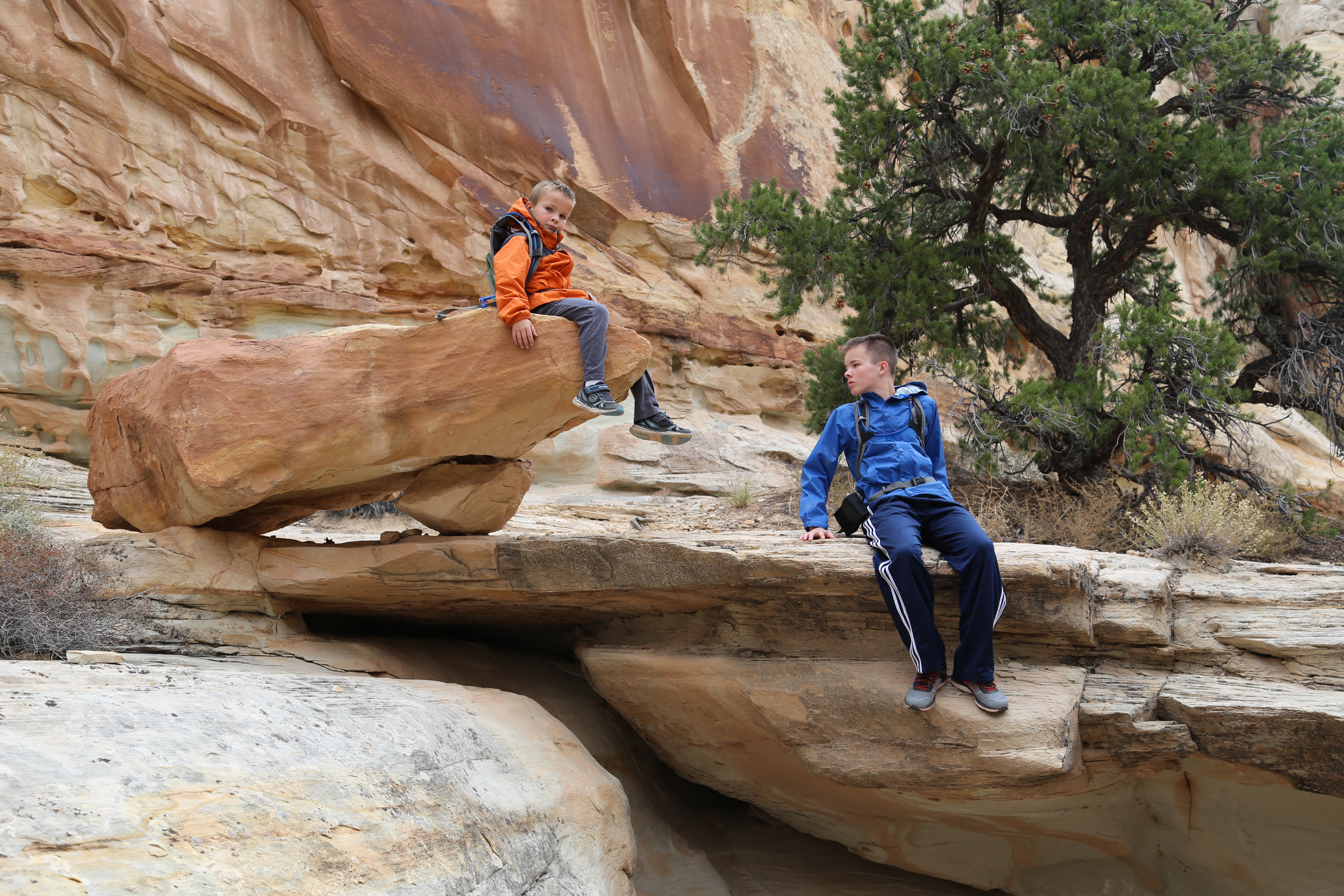 2015 Fall Break - Day 3 - Capitol Reef National Park (Gifford House Pies, Hickman Bridge Arch, Snakes Alive!, Picking Apples in the Fruita Pioneer Orchards, Goosenecks Overlook, Panorama Point), Eating Rattlesnakes at Cafe Diablo (Torrey, Utah)