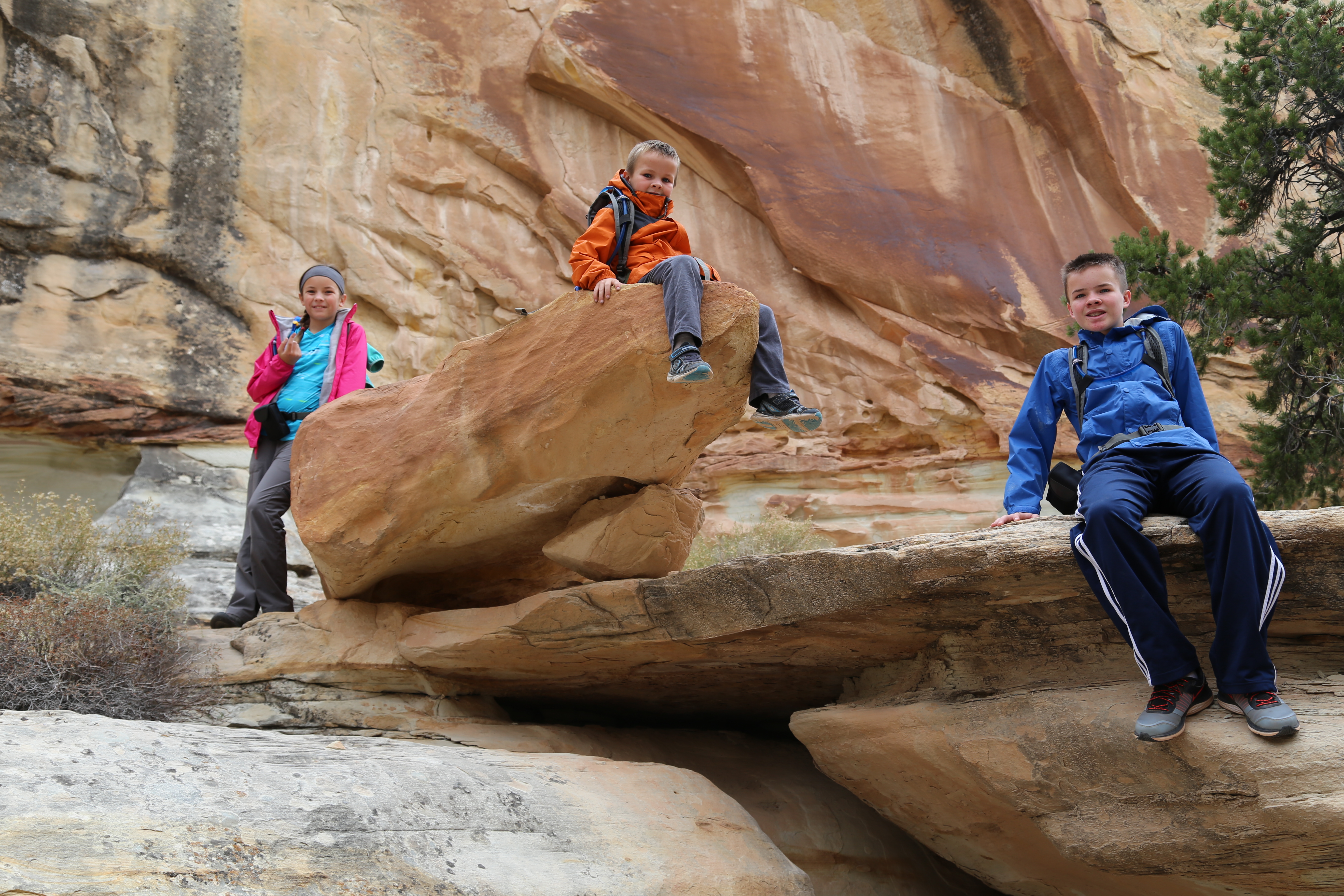 2015 Fall Break - Day 3 - Capitol Reef National Park (Gifford House Pies, Hickman Bridge Arch, Snakes Alive!, Picking Apples in the Fruita Pioneer Orchards, Goosenecks Overlook, Panorama Point), Eating Rattlesnakes at Cafe Diablo (Torrey, Utah)