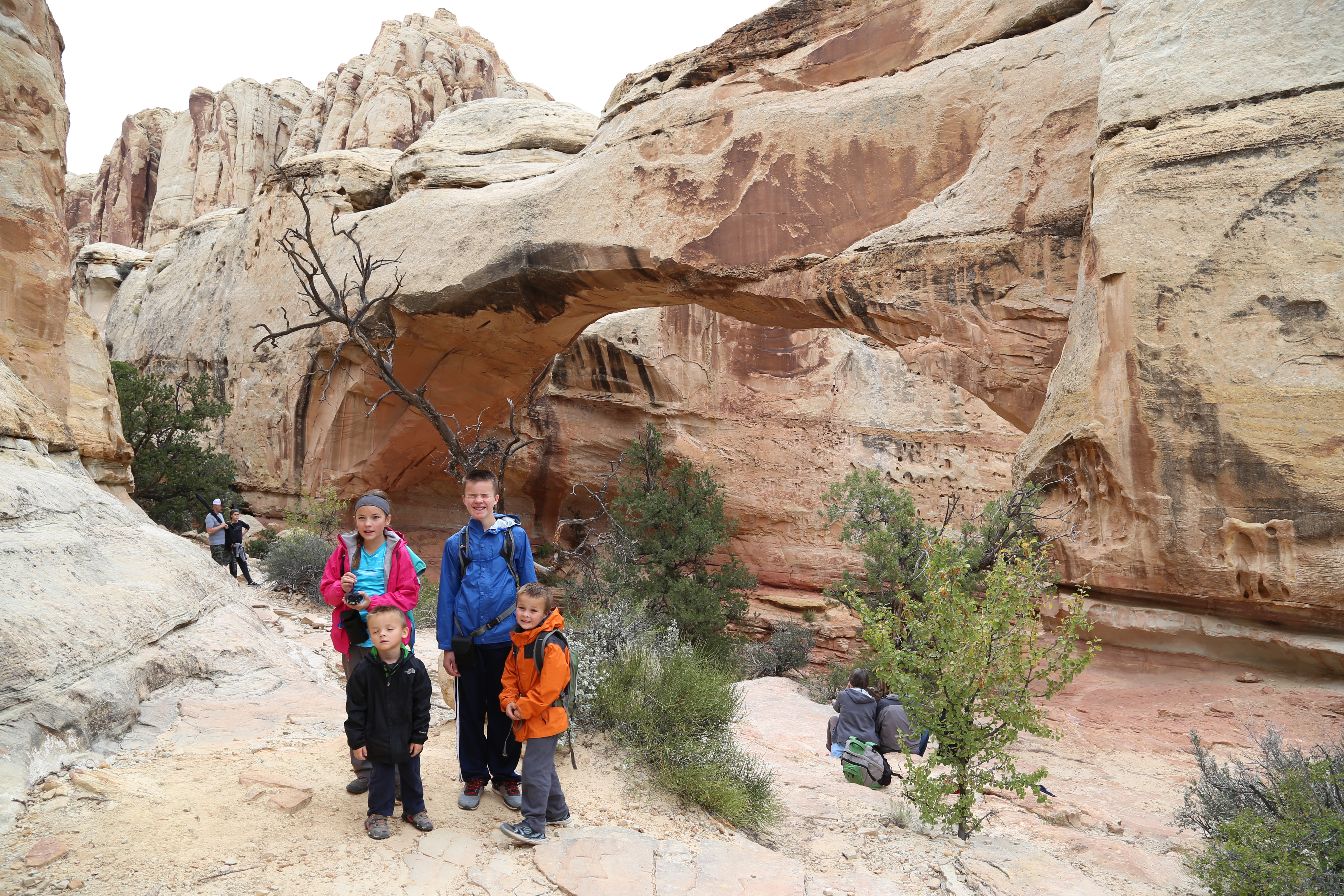 2015 Fall Break - Day 3 - Capitol Reef National Park (Gifford House Pies, Hickman Bridge Arch, Snakes Alive!, Picking Apples in the Fruita Pioneer Orchards, Goosenecks Overlook, Panorama Point), Eating Rattlesnakes at Cafe Diablo (Torrey, Utah)