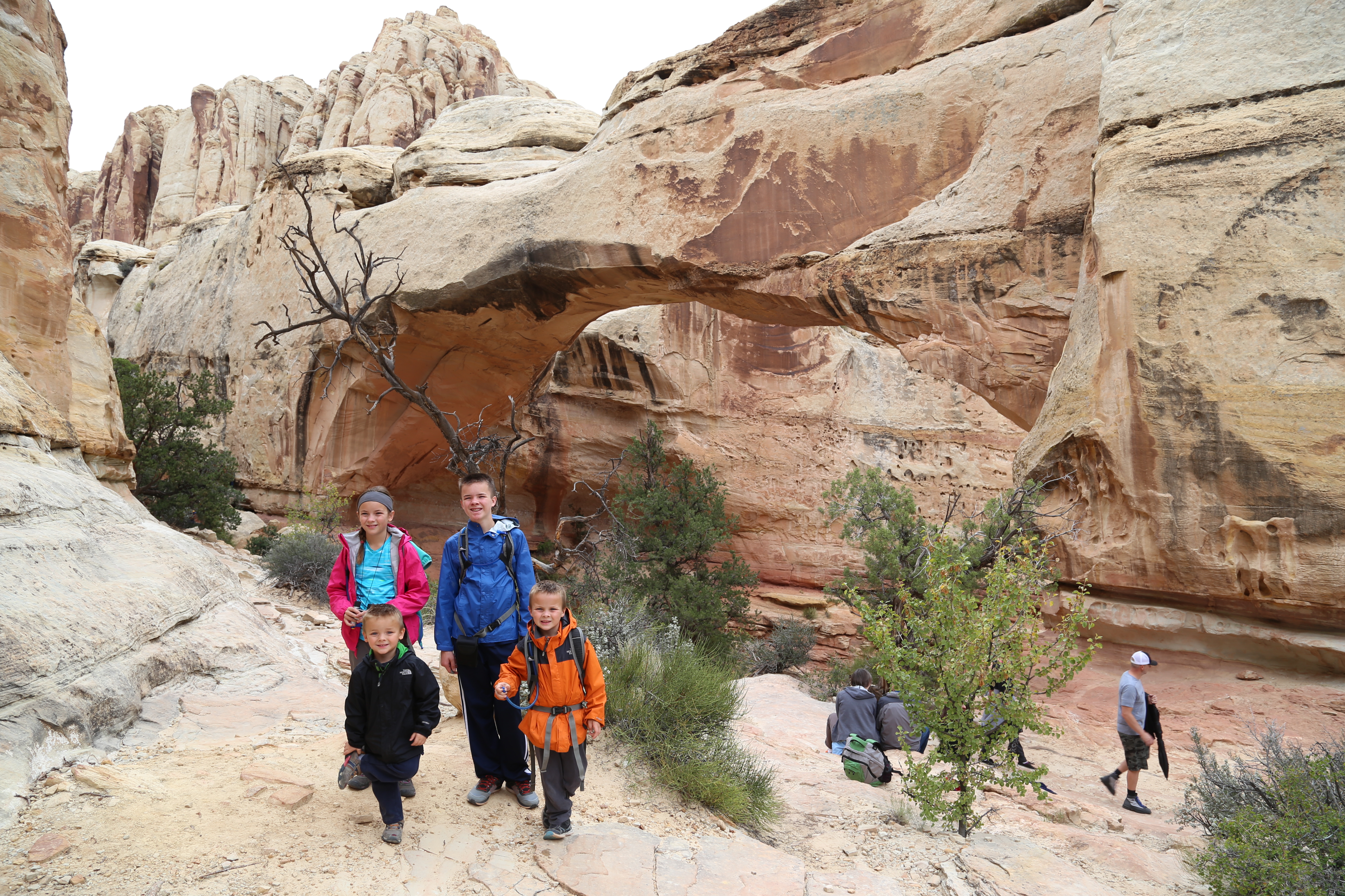 2015 Fall Break - Day 3 - Capitol Reef National Park (Gifford House Pies, Hickman Bridge Arch, Snakes Alive!, Picking Apples in the Fruita Pioneer Orchards, Goosenecks Overlook, Panorama Point), Eating Rattlesnakes at Cafe Diablo (Torrey, Utah)