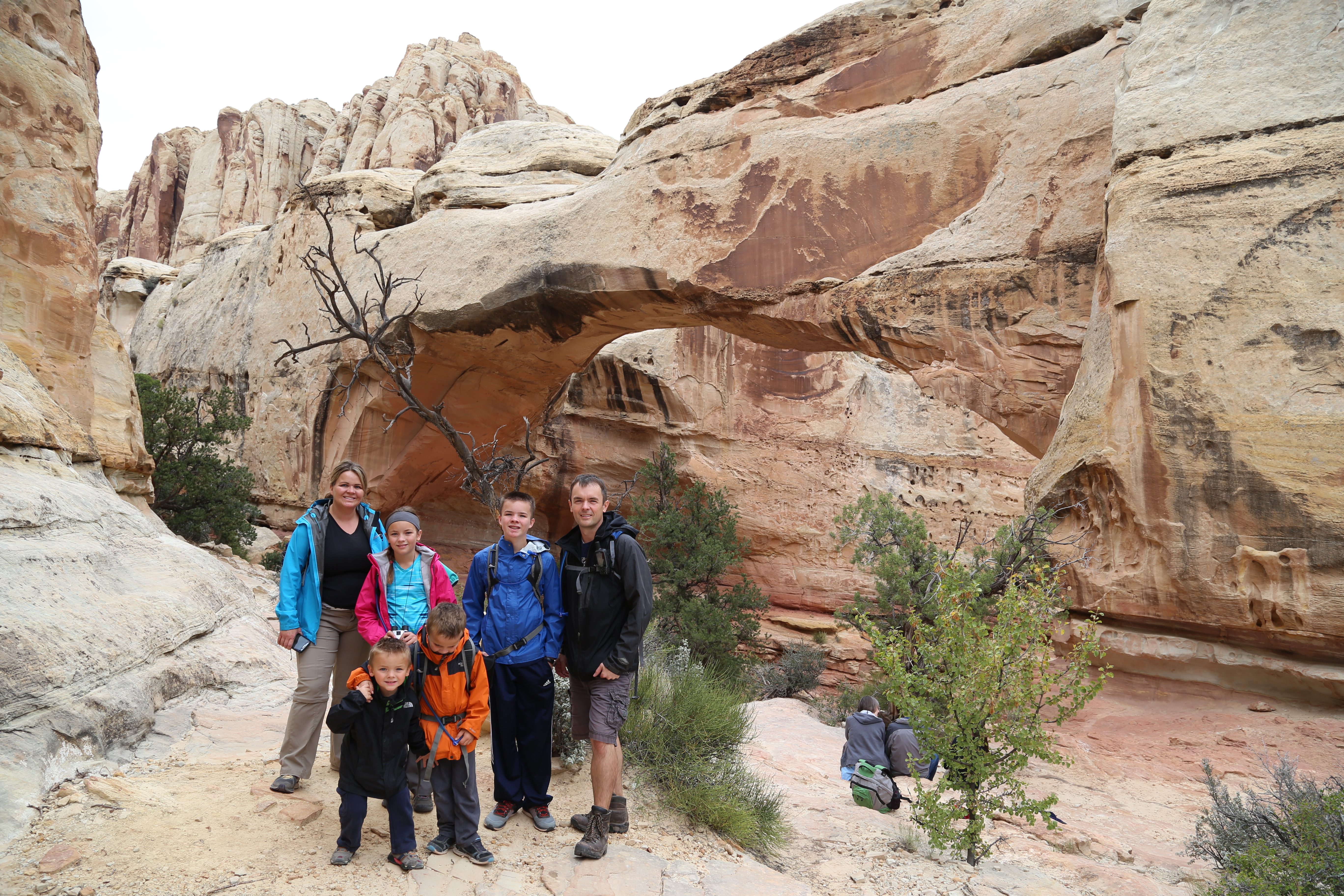 2015 Fall Break - Day 3 - Capitol Reef National Park (Gifford House Pies, Hickman Bridge Arch, Snakes Alive!, Picking Apples in the Fruita Pioneer Orchards, Goosenecks Overlook, Panorama Point), Eating Rattlesnakes at Cafe Diablo (Torrey, Utah)