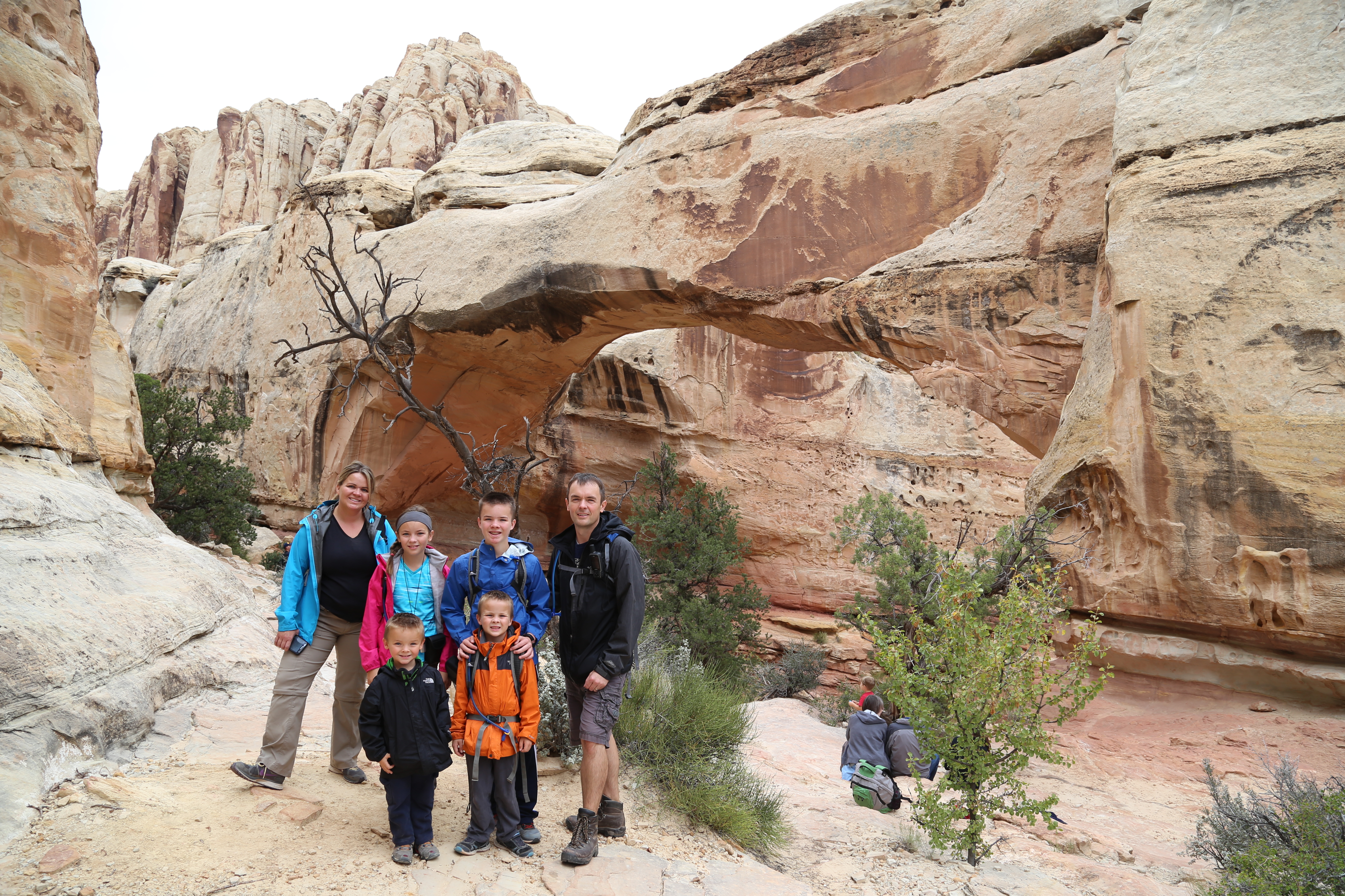 2015 Fall Break - Day 3 - Capitol Reef National Park (Gifford House Pies, Hickman Bridge Arch, Snakes Alive!, Picking Apples in the Fruita Pioneer Orchards, Goosenecks Overlook, Panorama Point), Eating Rattlesnakes at Cafe Diablo (Torrey, Utah)