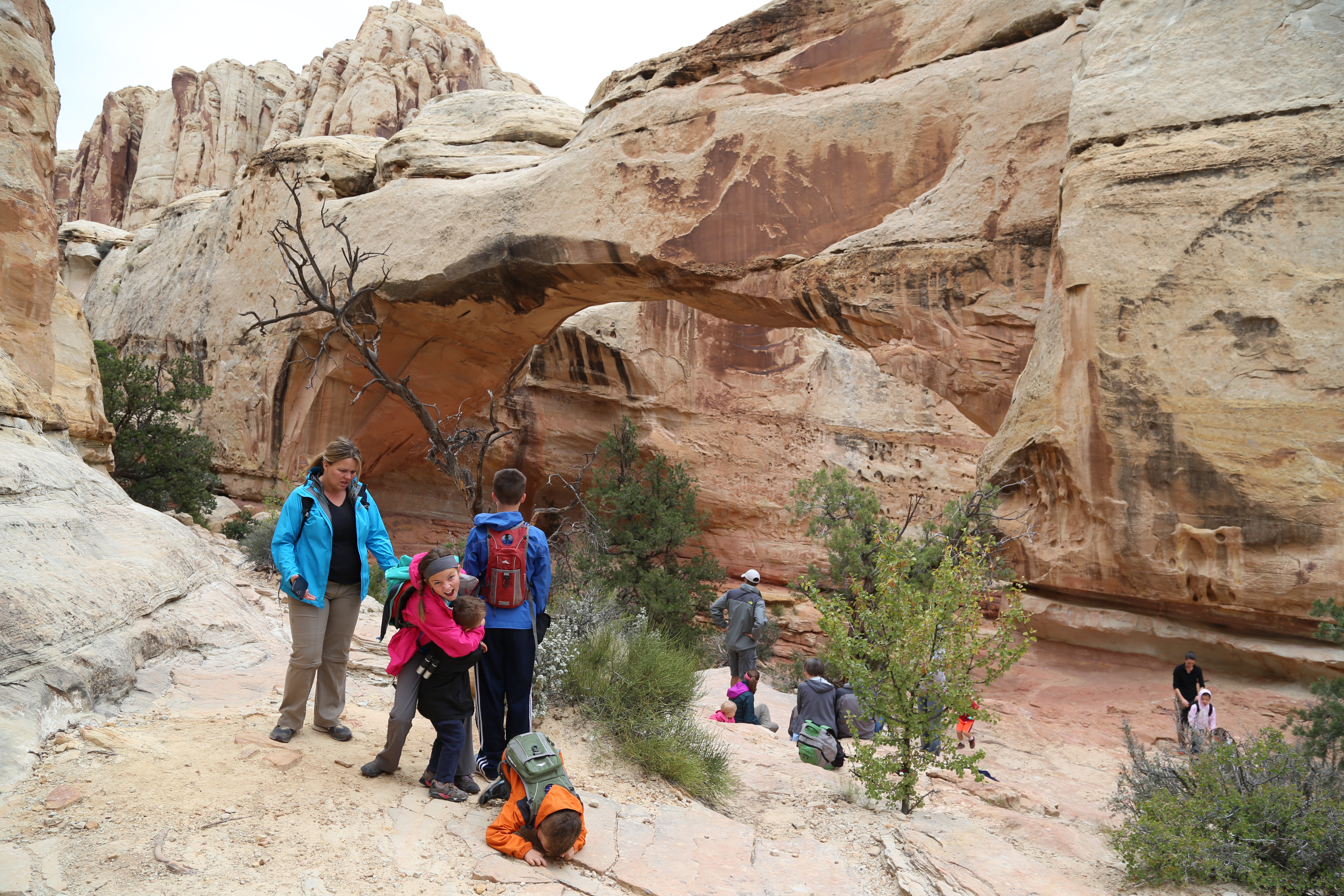 2015 Fall Break - Day 3 - Capitol Reef National Park (Gifford House Pies, Hickman Bridge Arch, Snakes Alive!, Picking Apples in the Fruita Pioneer Orchards, Goosenecks Overlook, Panorama Point), Eating Rattlesnakes at Cafe Diablo (Torrey, Utah)