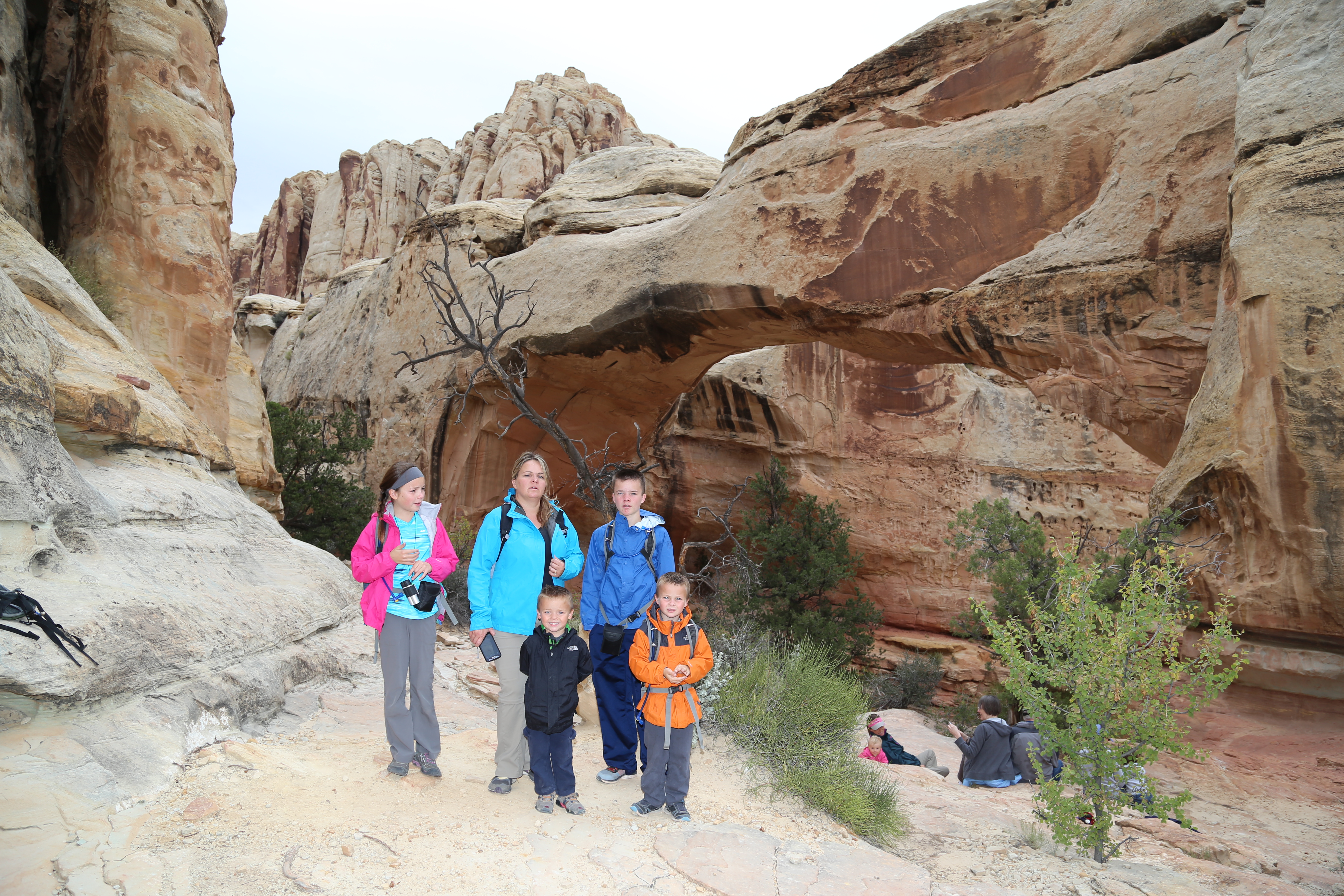 2015 Fall Break - Day 3 - Capitol Reef National Park (Gifford House Pies, Hickman Bridge Arch, Snakes Alive!, Picking Apples in the Fruita Pioneer Orchards, Goosenecks Overlook, Panorama Point), Eating Rattlesnakes at Cafe Diablo (Torrey, Utah)