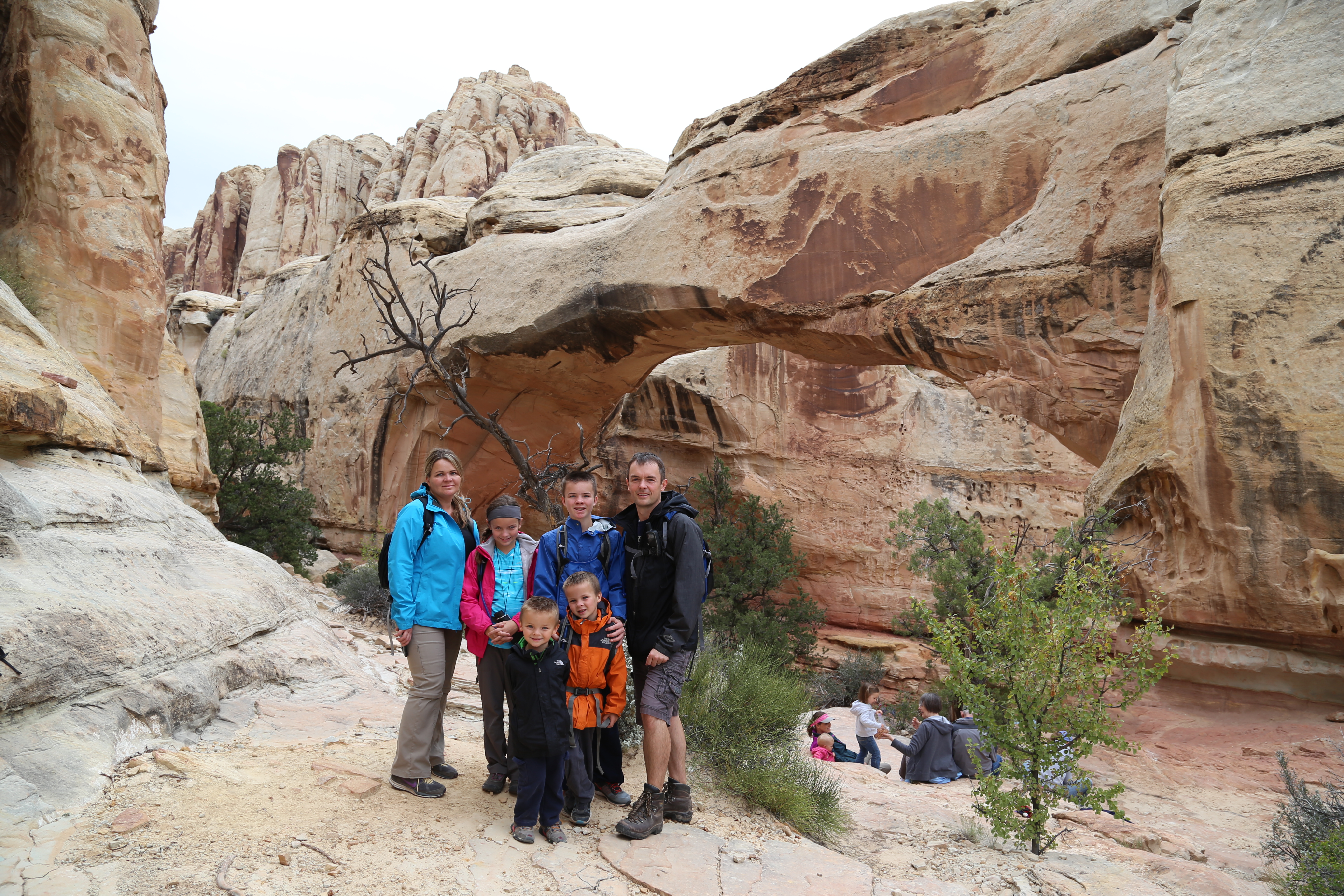 2015 Fall Break - Day 3 - Capitol Reef National Park (Gifford House Pies, Hickman Bridge Arch, Snakes Alive!, Picking Apples in the Fruita Pioneer Orchards, Goosenecks Overlook, Panorama Point), Eating Rattlesnakes at Cafe Diablo (Torrey, Utah)