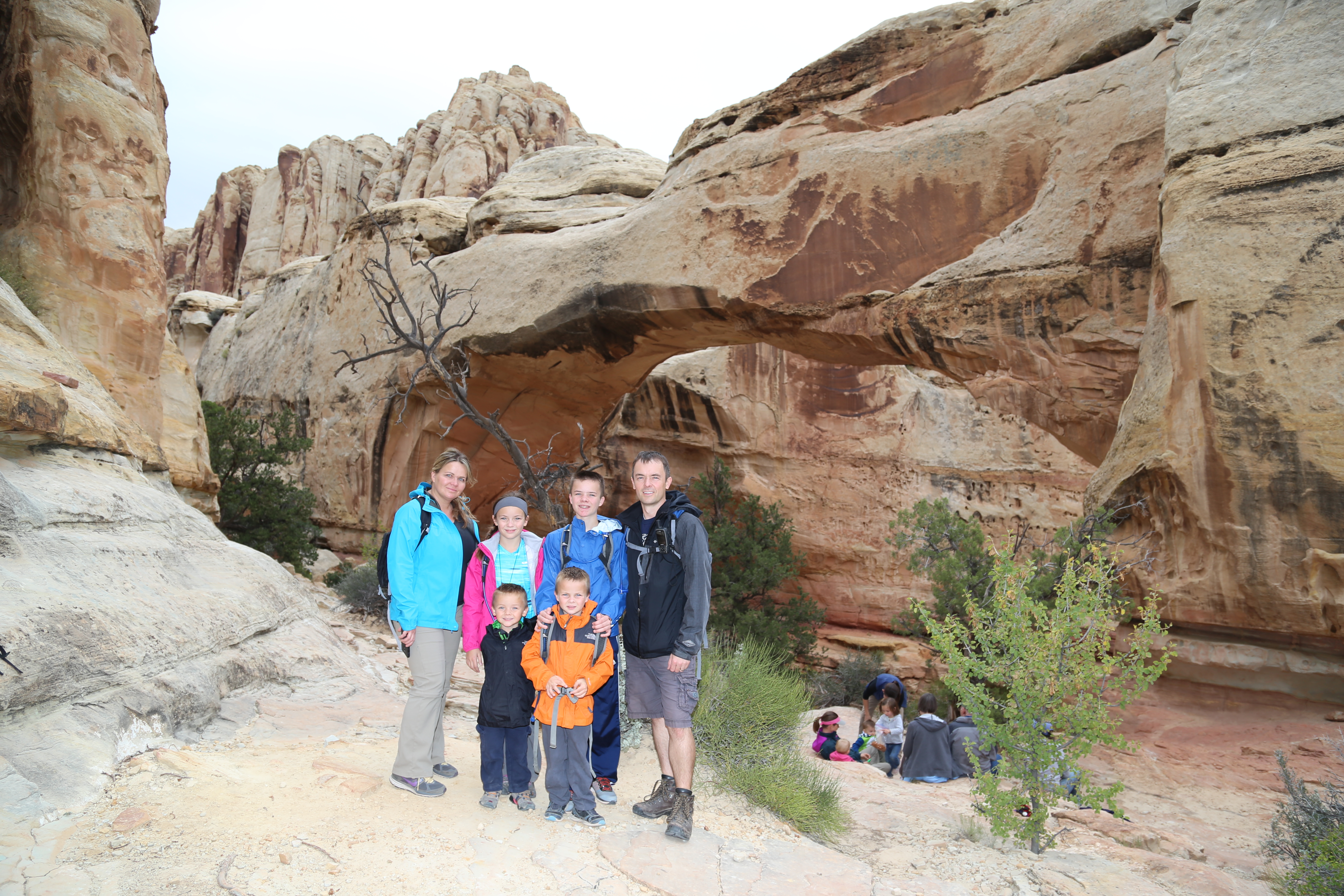 2015 Fall Break - Day 3 - Capitol Reef National Park (Gifford House Pies, Hickman Bridge Arch, Snakes Alive!, Picking Apples in the Fruita Pioneer Orchards, Goosenecks Overlook, Panorama Point), Eating Rattlesnakes at Cafe Diablo (Torrey, Utah)