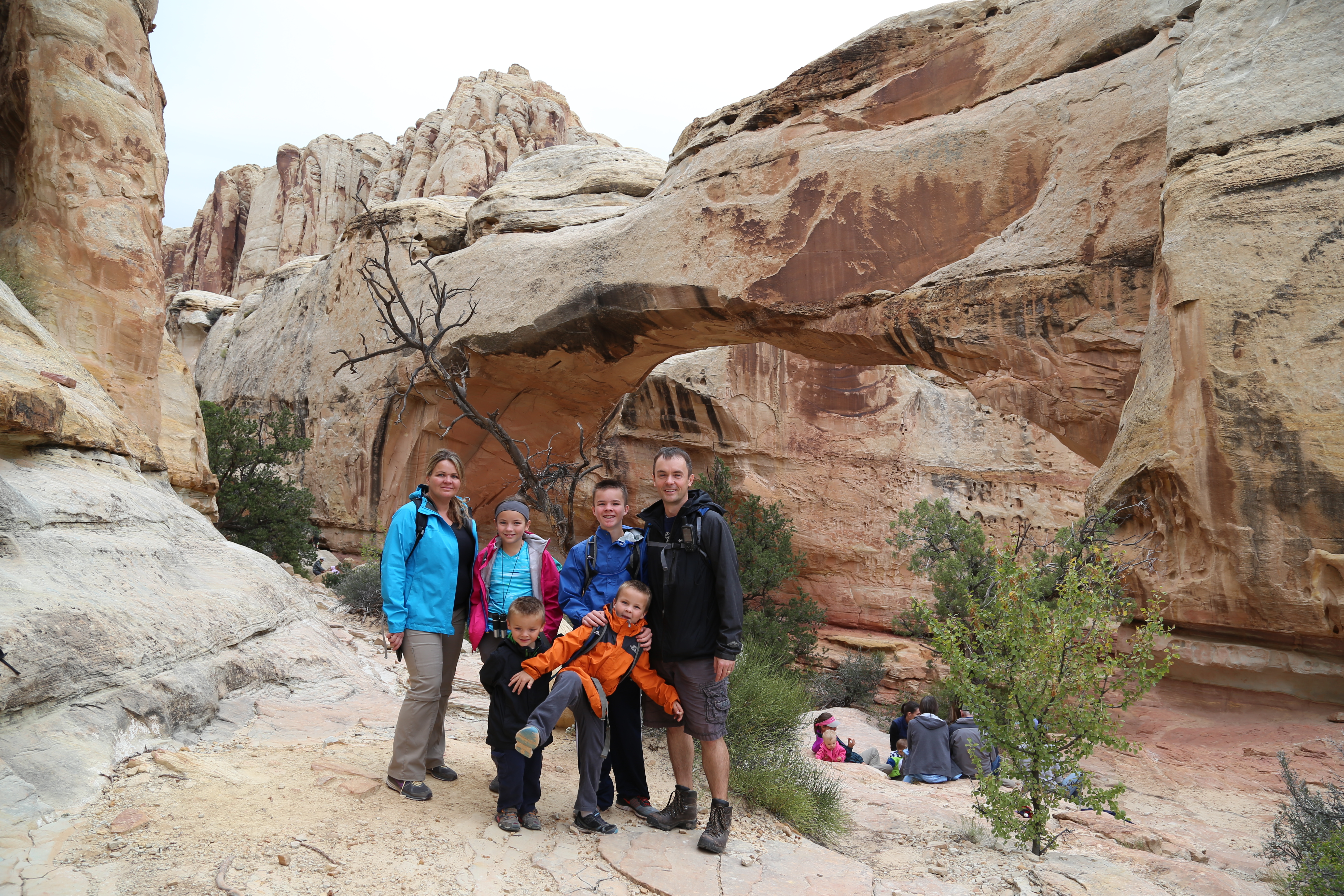 2015 Fall Break - Day 3 - Capitol Reef National Park (Gifford House Pies, Hickman Bridge Arch, Snakes Alive!, Picking Apples in the Fruita Pioneer Orchards, Goosenecks Overlook, Panorama Point), Eating Rattlesnakes at Cafe Diablo (Torrey, Utah)