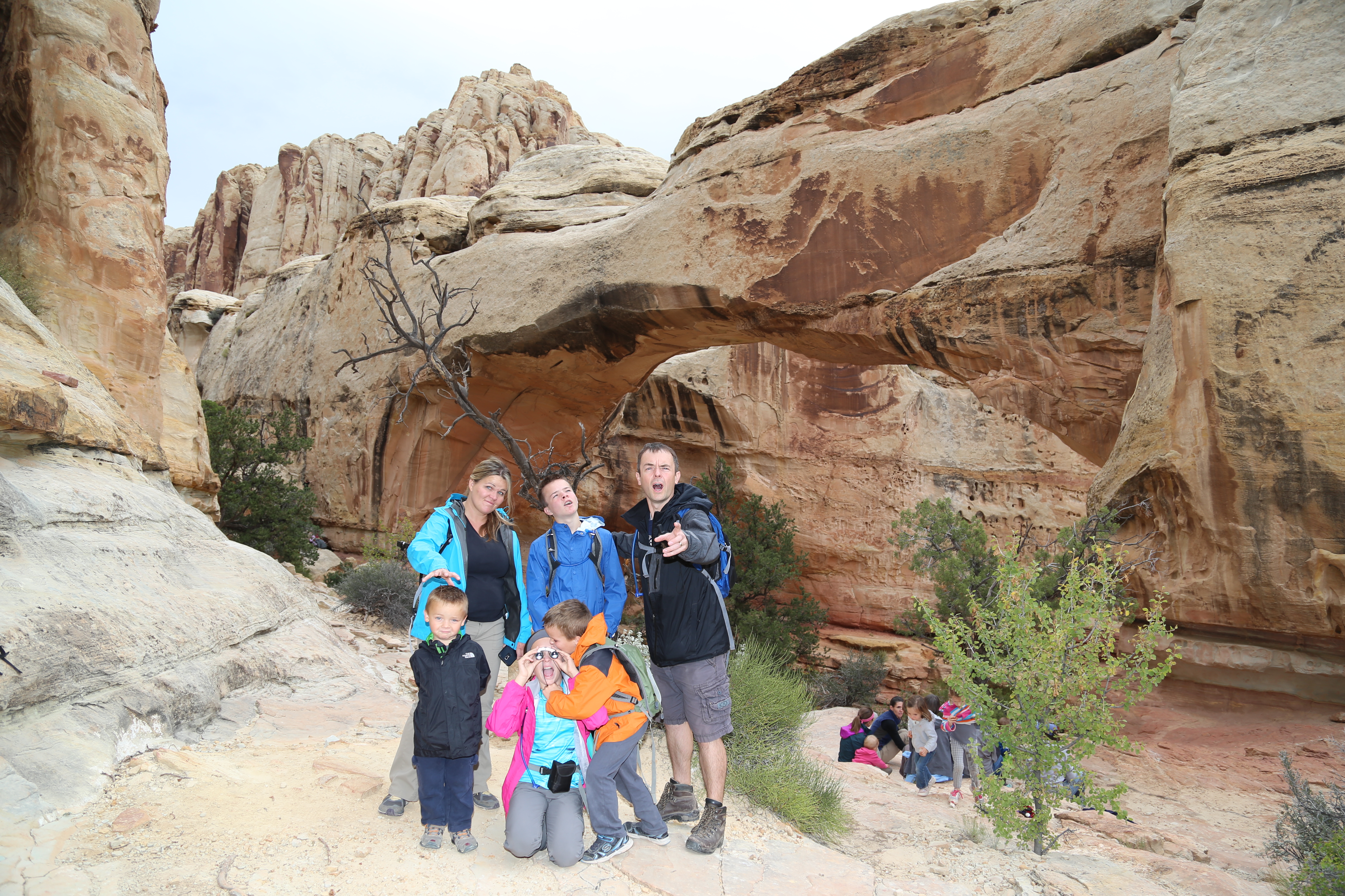 2015 Fall Break - Day 3 - Capitol Reef National Park (Gifford House Pies, Hickman Bridge Arch, Snakes Alive!, Picking Apples in the Fruita Pioneer Orchards, Goosenecks Overlook, Panorama Point), Eating Rattlesnakes at Cafe Diablo (Torrey, Utah)