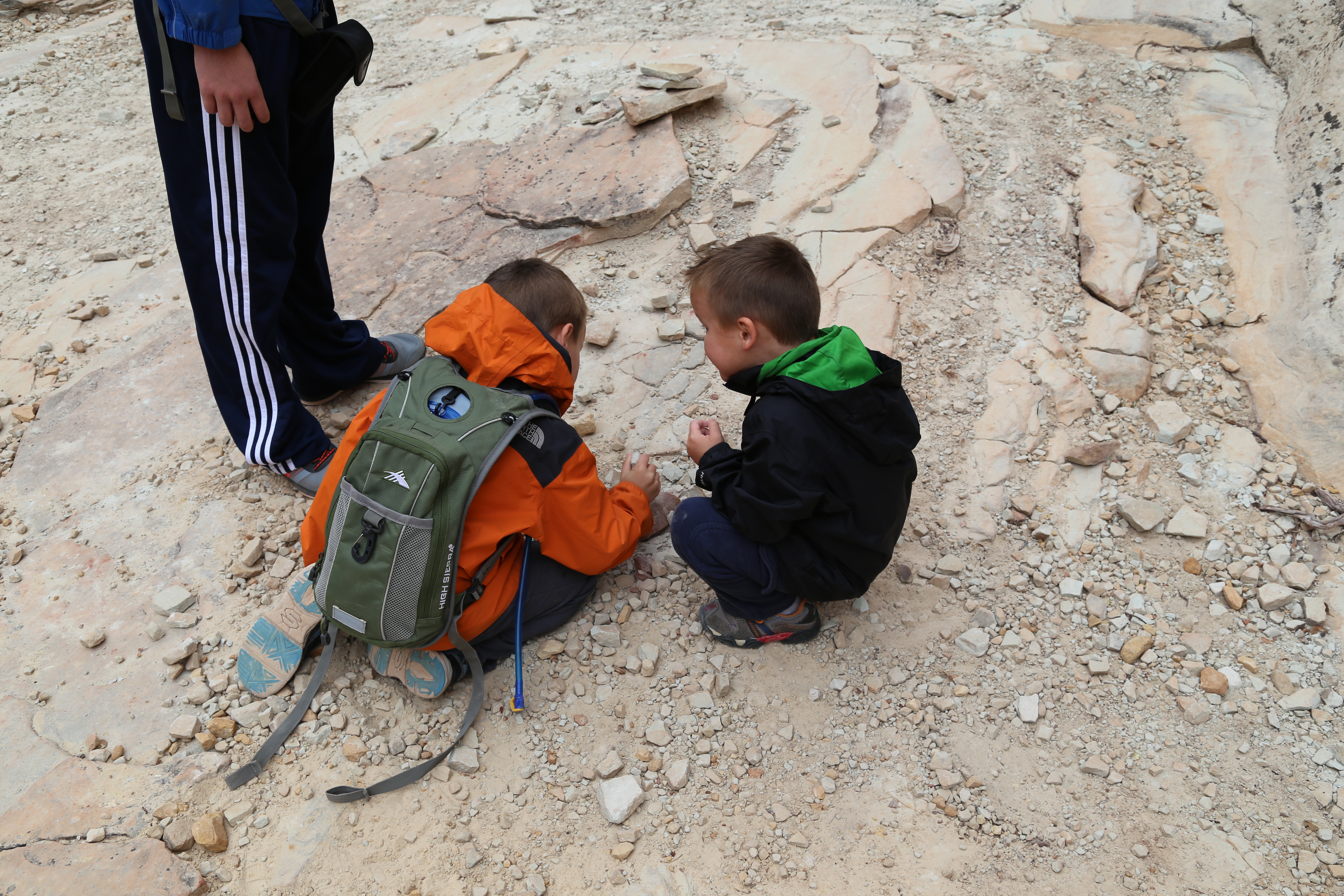 2015 Fall Break - Day 3 - Capitol Reef National Park (Gifford House Pies, Hickman Bridge Arch, Snakes Alive!, Picking Apples in the Fruita Pioneer Orchards, Goosenecks Overlook, Panorama Point), Eating Rattlesnakes at Cafe Diablo (Torrey, Utah)