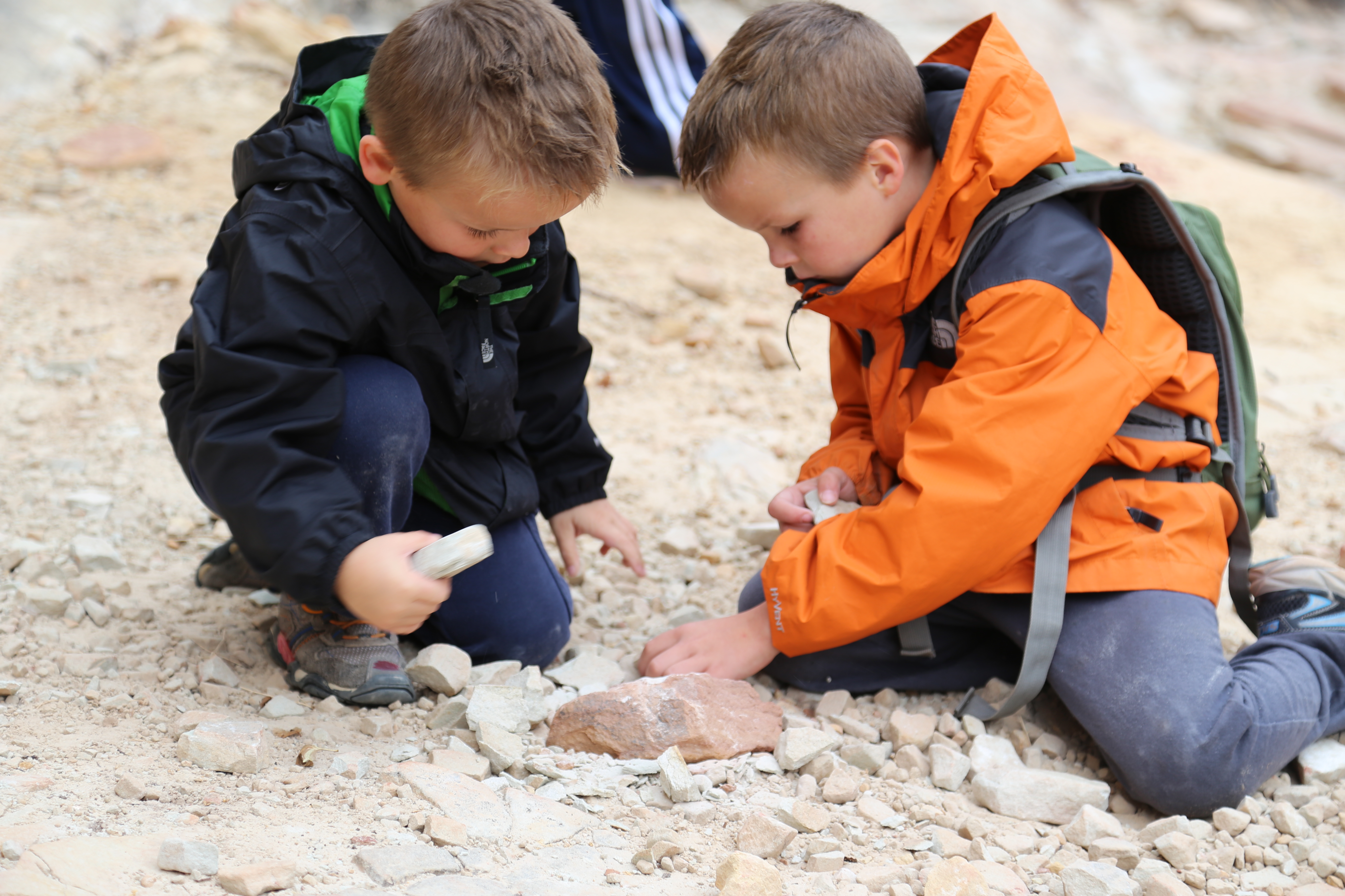 2015 Fall Break - Day 3 - Capitol Reef National Park (Gifford House Pies, Hickman Bridge Arch, Snakes Alive!, Picking Apples in the Fruita Pioneer Orchards, Goosenecks Overlook, Panorama Point), Eating Rattlesnakes at Cafe Diablo (Torrey, Utah)