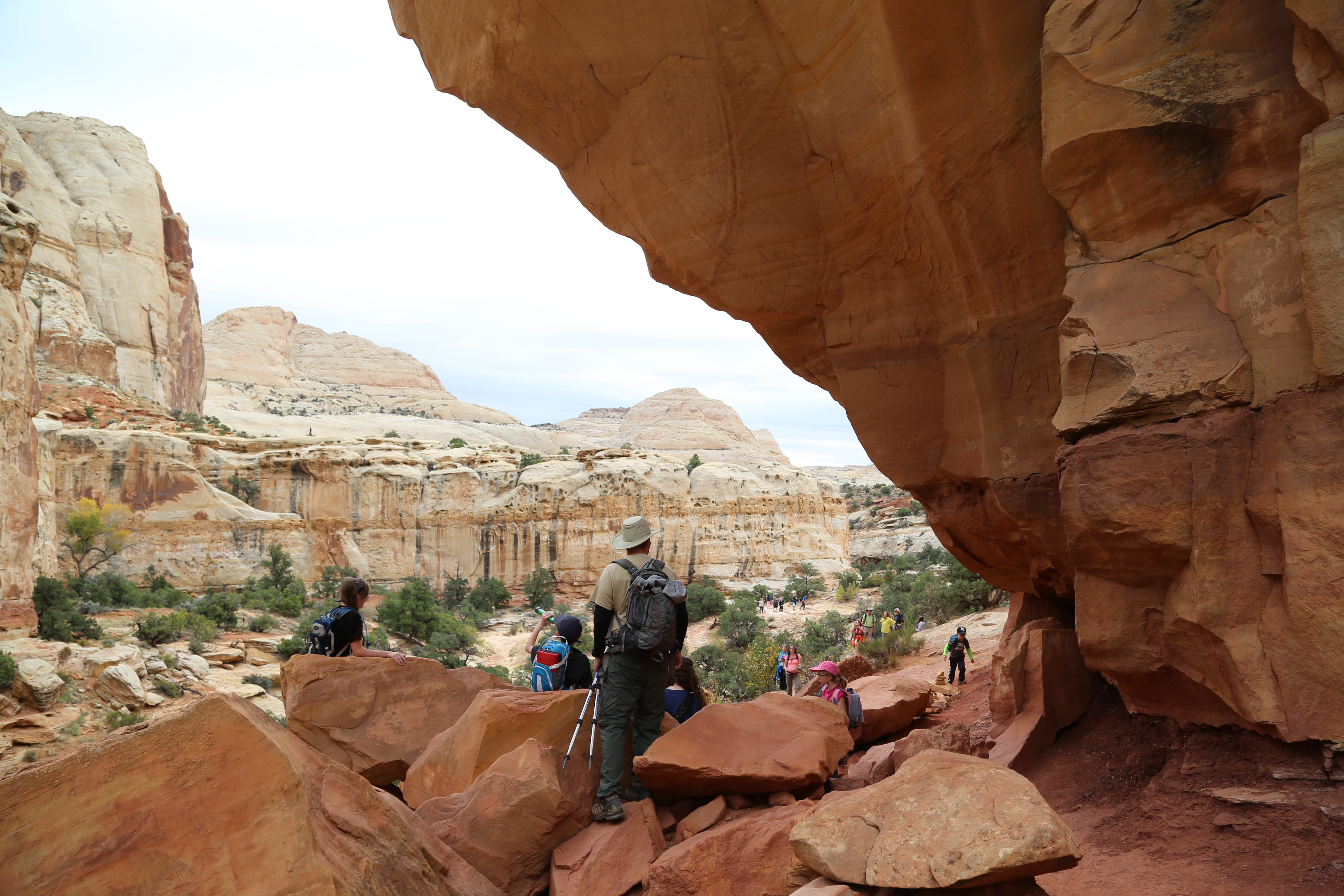 2015 Fall Break - Day 3 - Capitol Reef National Park (Gifford House Pies, Hickman Bridge Arch, Snakes Alive!, Picking Apples in the Fruita Pioneer Orchards, Goosenecks Overlook, Panorama Point), Eating Rattlesnakes at Cafe Diablo (Torrey, Utah)