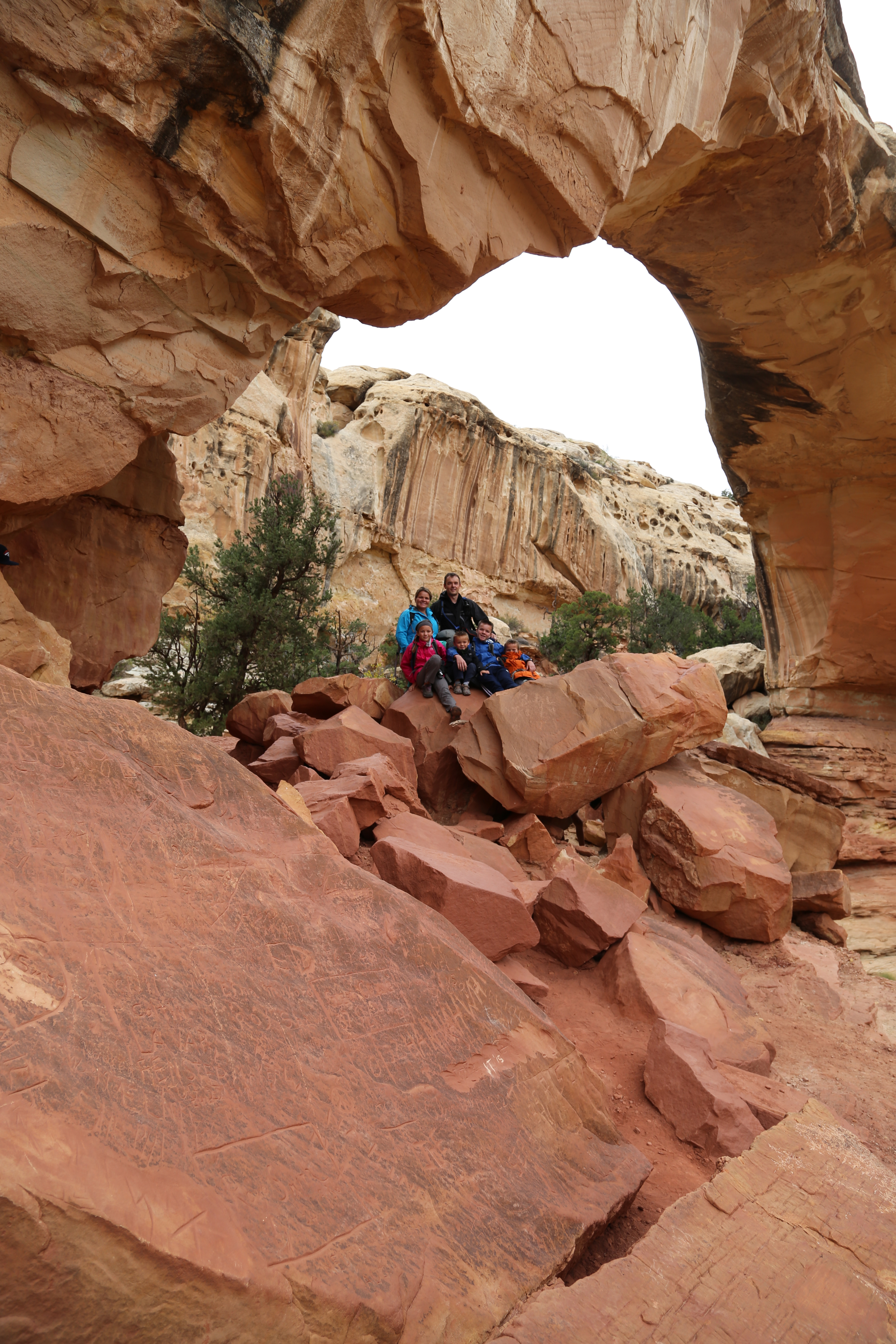 2015 Fall Break - Day 3 - Capitol Reef National Park (Gifford House Pies, Hickman Bridge Arch, Snakes Alive!, Picking Apples in the Fruita Pioneer Orchards, Goosenecks Overlook, Panorama Point), Eating Rattlesnakes at Cafe Diablo (Torrey, Utah)