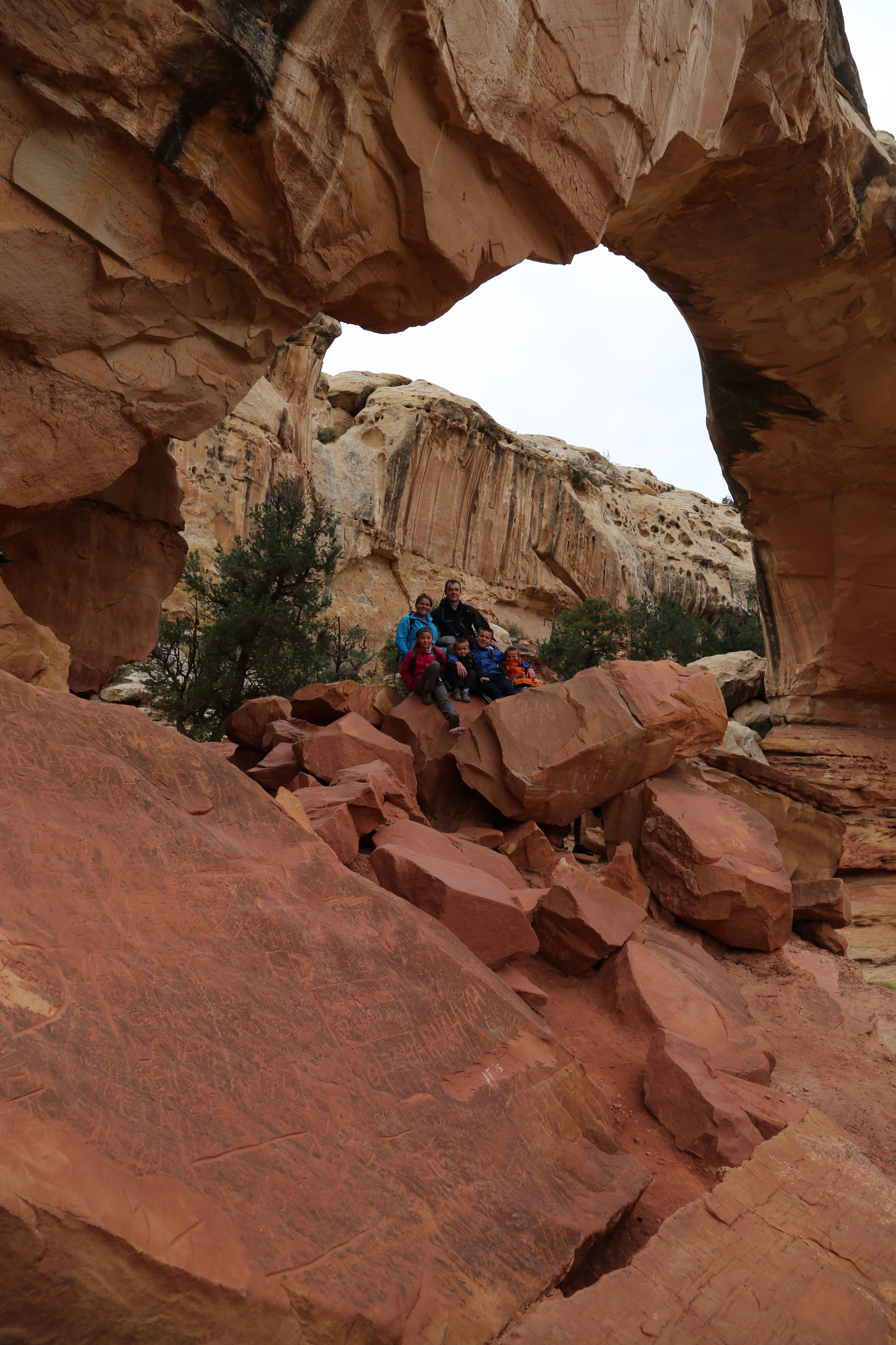 2015 Fall Break - Day 3 - Capitol Reef National Park (Gifford House Pies, Hickman Bridge Arch, Snakes Alive!, Picking Apples in the Fruita Pioneer Orchards, Goosenecks Overlook, Panorama Point), Eating Rattlesnakes at Cafe Diablo (Torrey, Utah)