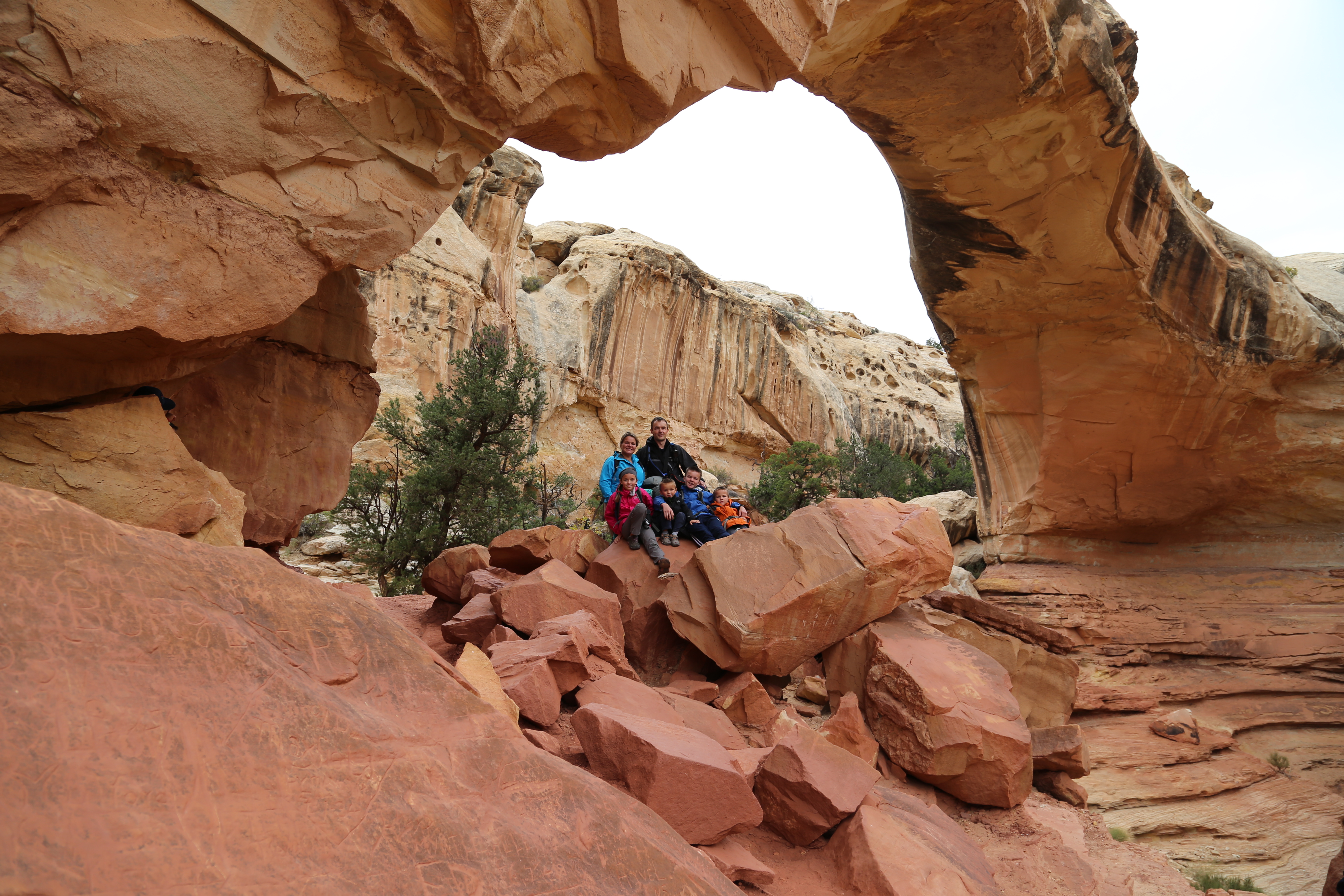 2015 Fall Break - Day 3 - Capitol Reef National Park (Gifford House Pies, Hickman Bridge Arch, Snakes Alive!, Picking Apples in the Fruita Pioneer Orchards, Goosenecks Overlook, Panorama Point), Eating Rattlesnakes at Cafe Diablo (Torrey, Utah)