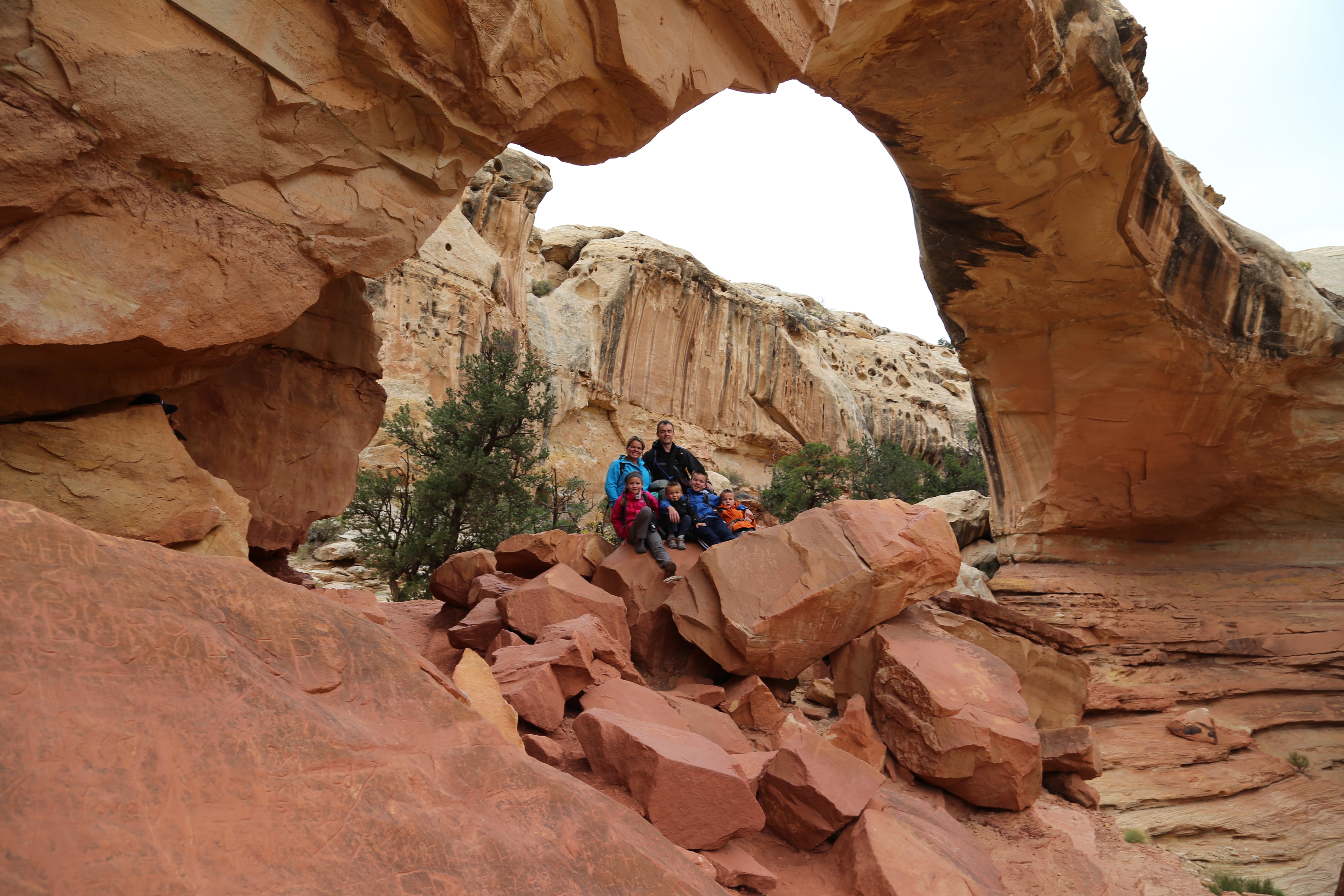 2015 Fall Break - Day 3 - Capitol Reef National Park (Gifford House Pies, Hickman Bridge Arch, Snakes Alive!, Picking Apples in the Fruita Pioneer Orchards, Goosenecks Overlook, Panorama Point), Eating Rattlesnakes at Cafe Diablo (Torrey, Utah)