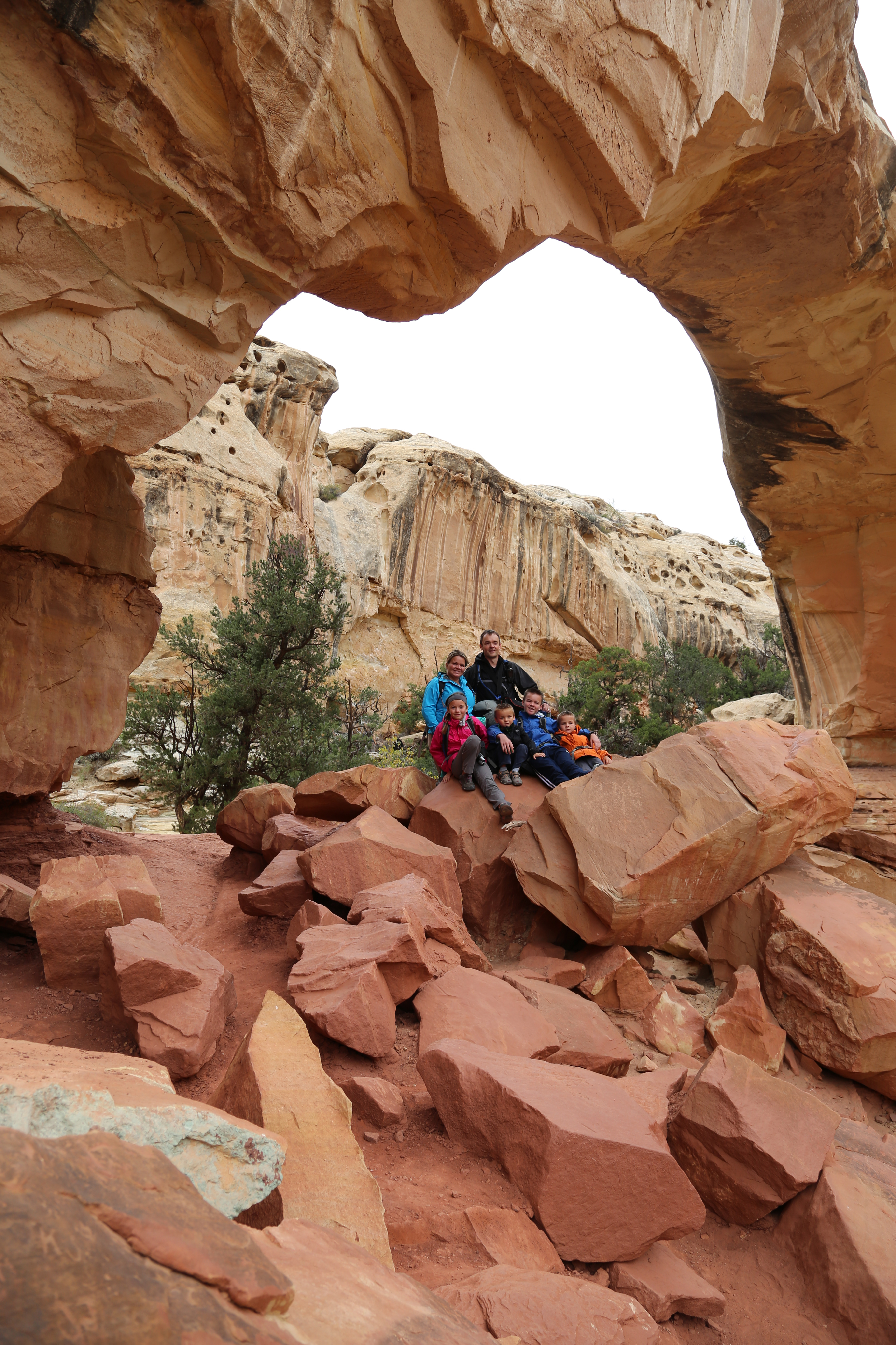 2015 Fall Break - Day 3 - Capitol Reef National Park (Gifford House Pies, Hickman Bridge Arch, Snakes Alive!, Picking Apples in the Fruita Pioneer Orchards, Goosenecks Overlook, Panorama Point), Eating Rattlesnakes at Cafe Diablo (Torrey, Utah)