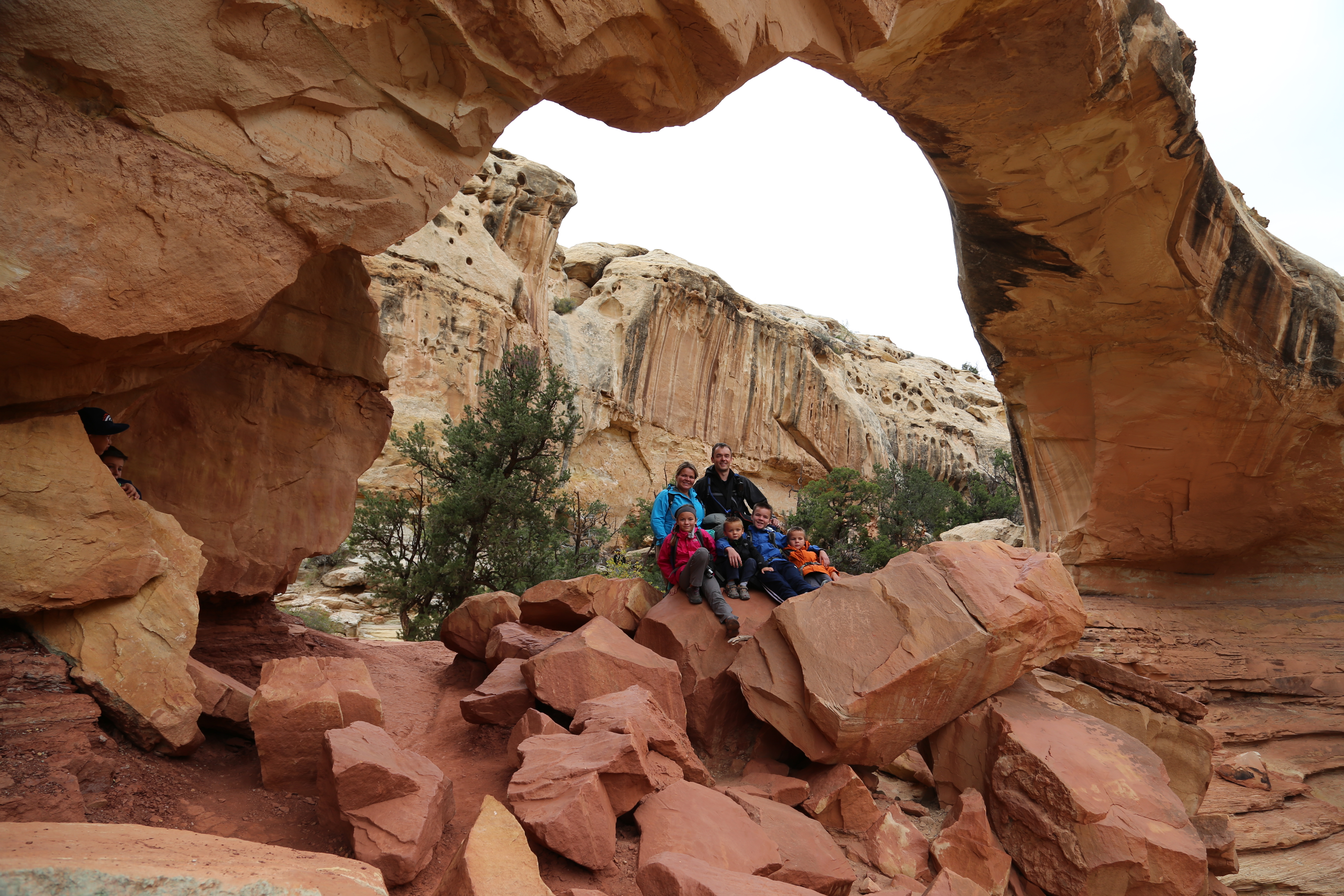 2015 Fall Break - Day 3 - Capitol Reef National Park (Gifford House Pies, Hickman Bridge Arch, Snakes Alive!, Picking Apples in the Fruita Pioneer Orchards, Goosenecks Overlook, Panorama Point), Eating Rattlesnakes at Cafe Diablo (Torrey, Utah)