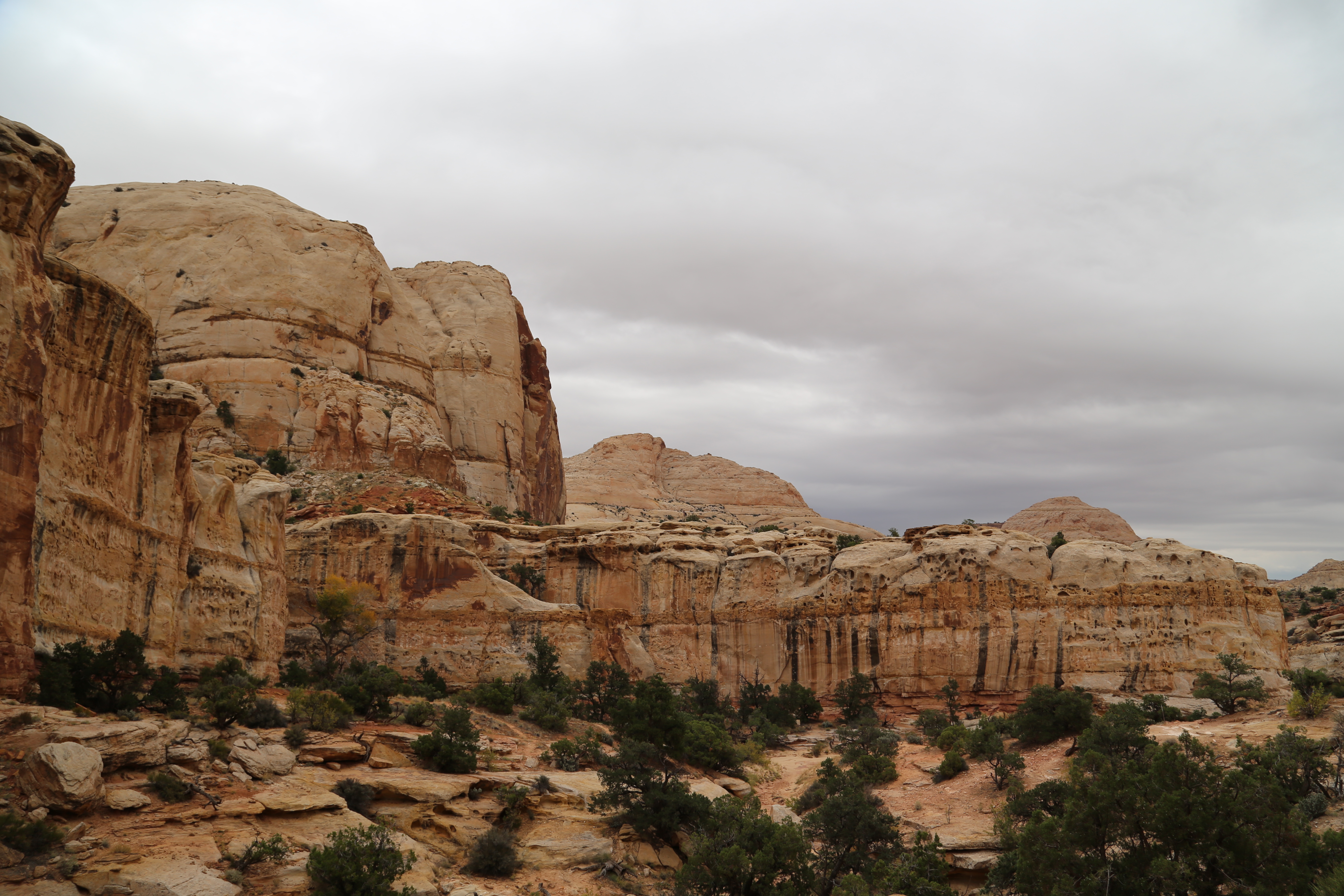 2015 Fall Break - Day 3 - Capitol Reef National Park (Gifford House Pies, Hickman Bridge Arch, Snakes Alive!, Picking Apples in the Fruita Pioneer Orchards, Goosenecks Overlook, Panorama Point), Eating Rattlesnakes at Cafe Diablo (Torrey, Utah)