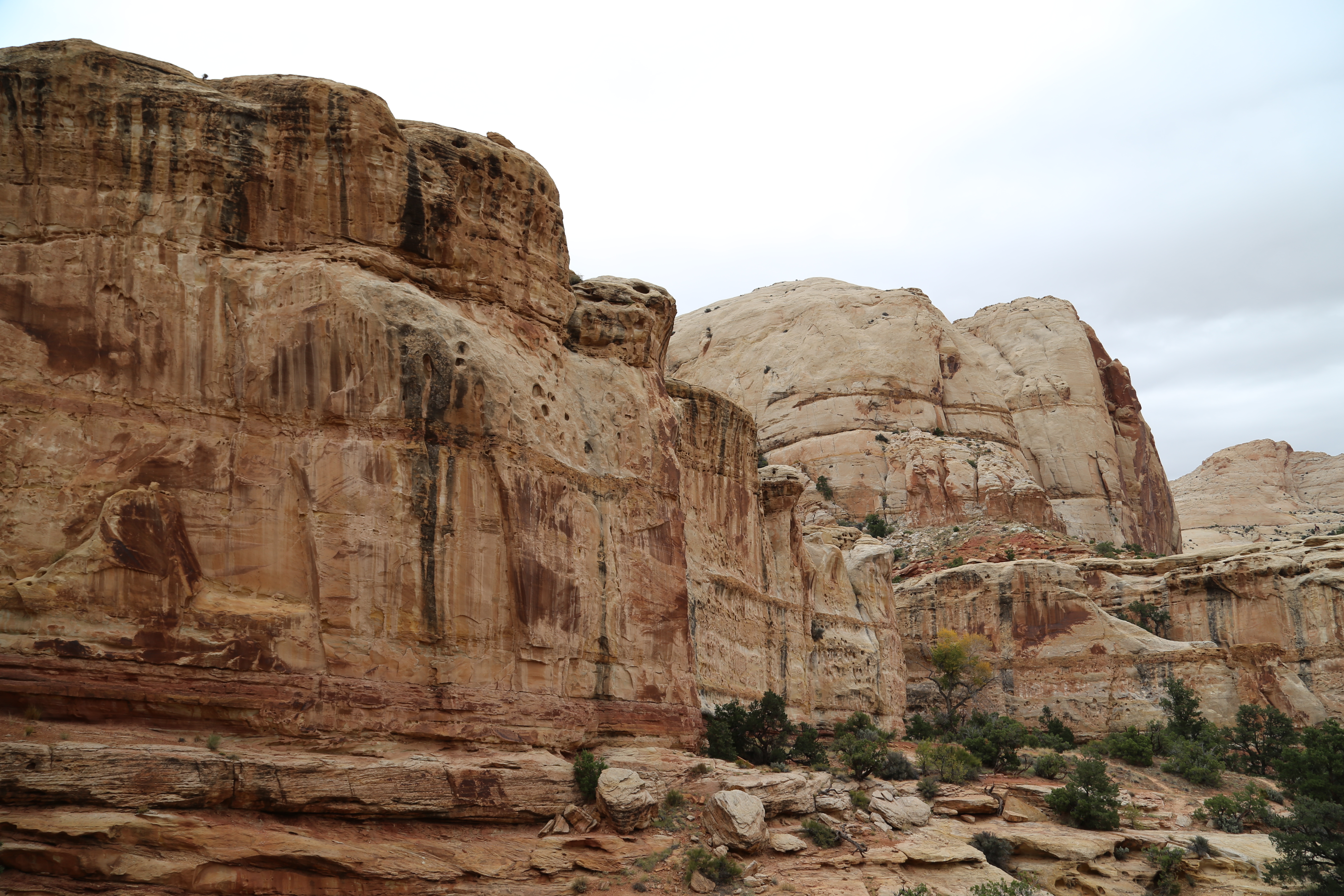 2015 Fall Break - Day 3 - Capitol Reef National Park (Gifford House Pies, Hickman Bridge Arch, Snakes Alive!, Picking Apples in the Fruita Pioneer Orchards, Goosenecks Overlook, Panorama Point), Eating Rattlesnakes at Cafe Diablo (Torrey, Utah)