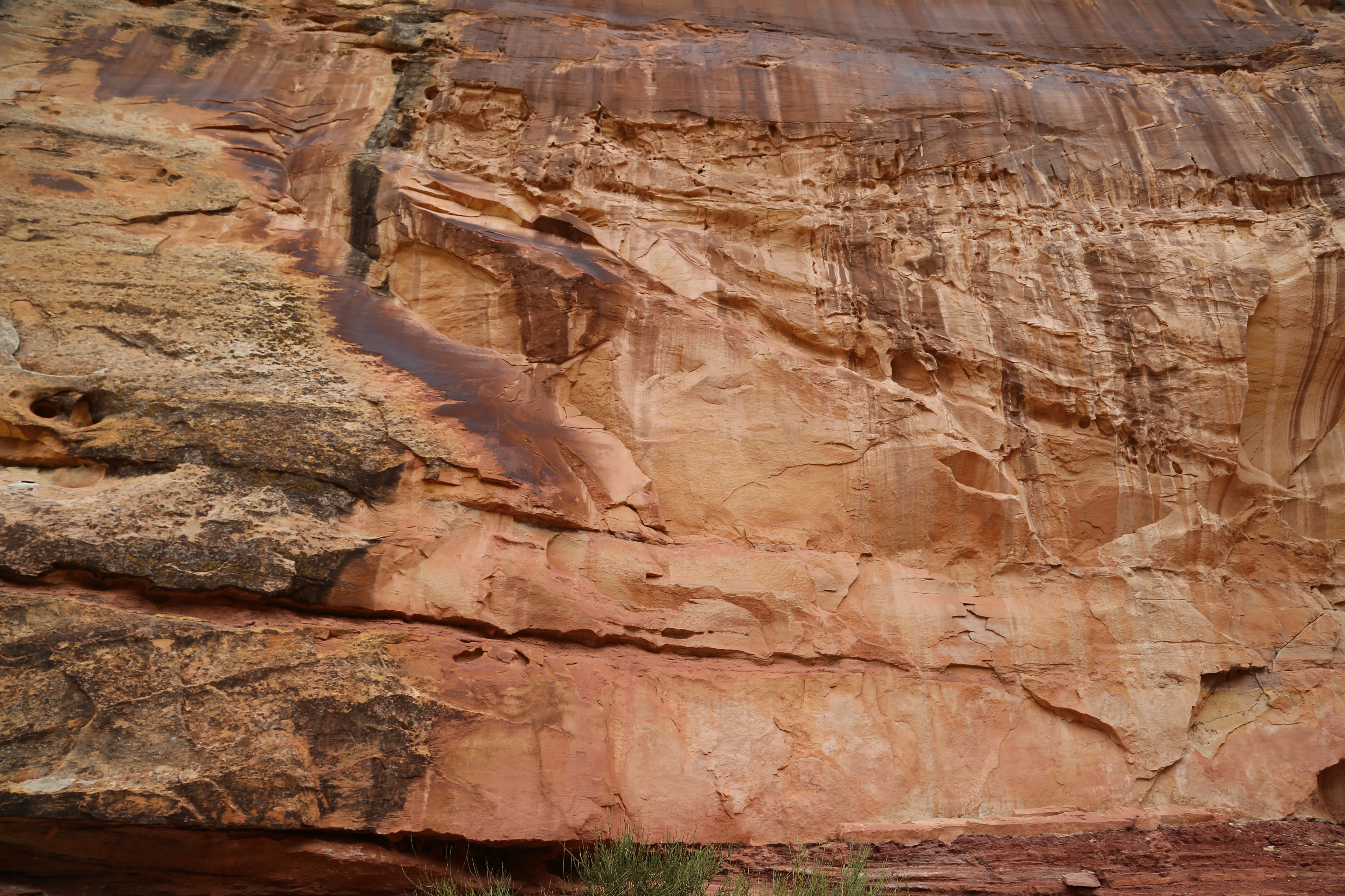 2015 Fall Break - Day 3 - Capitol Reef National Park (Gifford House Pies, Hickman Bridge Arch, Snakes Alive!, Picking Apples in the Fruita Pioneer Orchards, Goosenecks Overlook, Panorama Point), Eating Rattlesnakes at Cafe Diablo (Torrey, Utah)