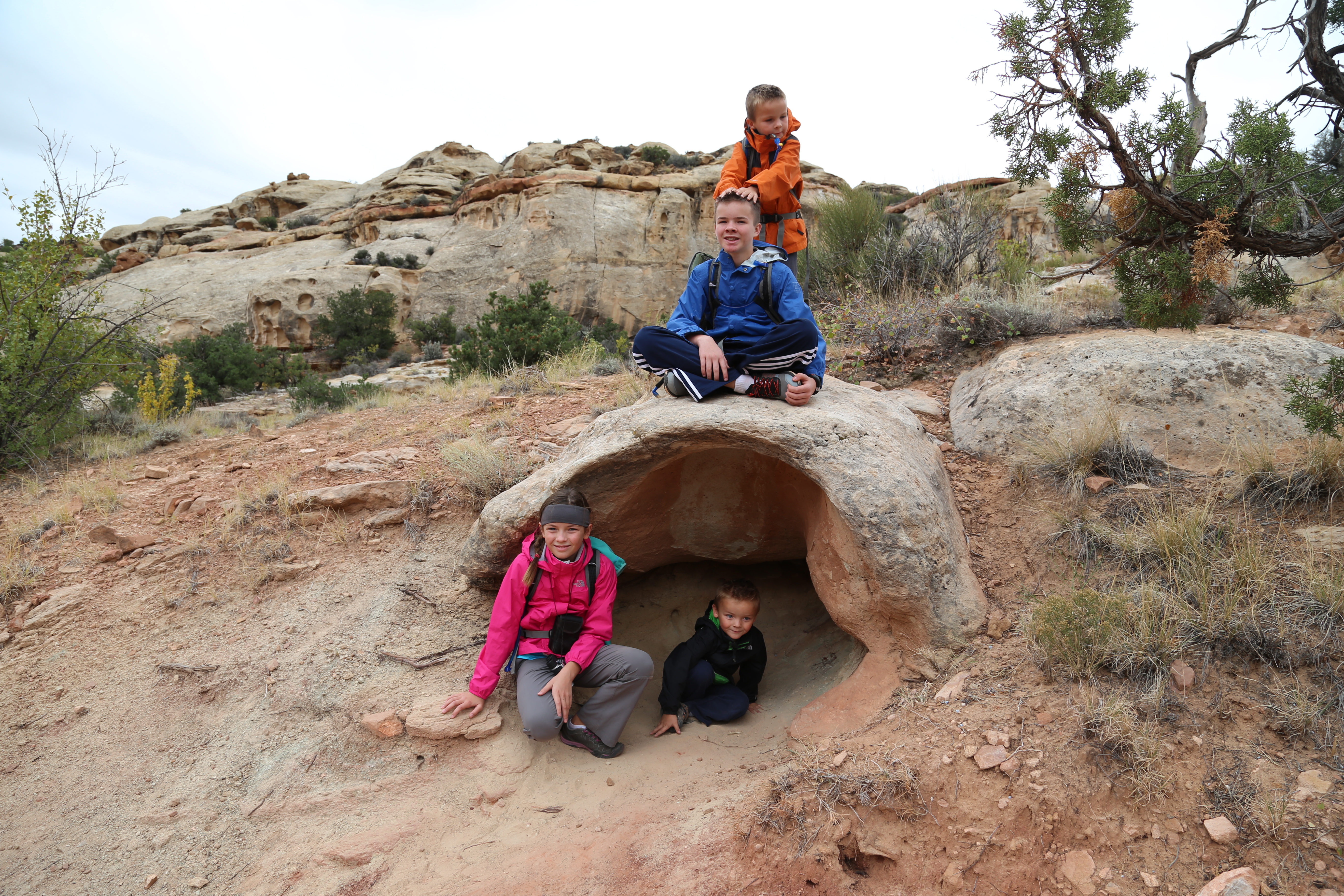 2015 Fall Break - Day 3 - Capitol Reef National Park (Gifford House Pies, Hickman Bridge Arch, Snakes Alive!, Picking Apples in the Fruita Pioneer Orchards, Goosenecks Overlook, Panorama Point), Eating Rattlesnakes at Cafe Diablo (Torrey, Utah)