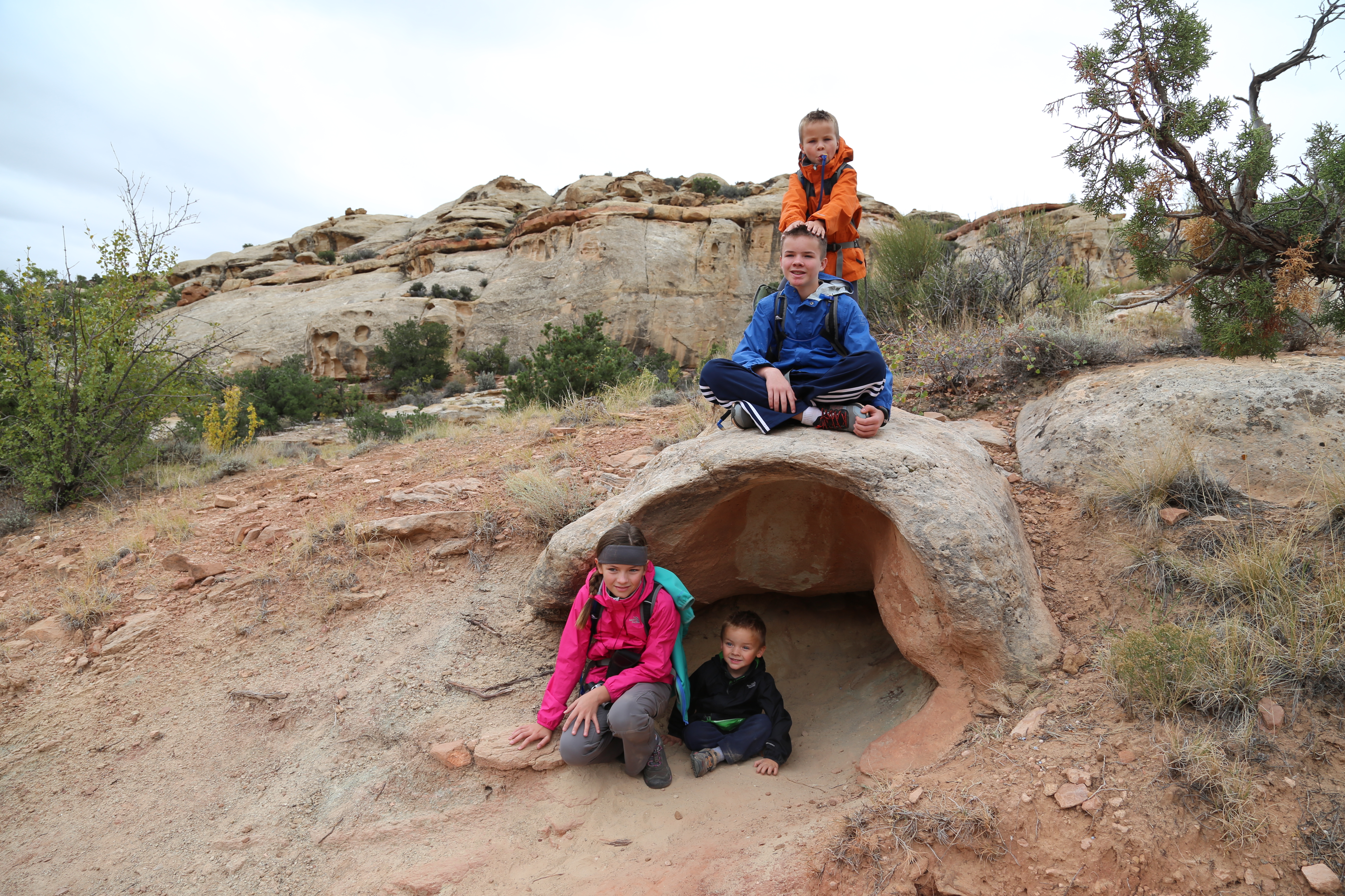 2015 Fall Break - Day 3 - Capitol Reef National Park (Gifford House Pies, Hickman Bridge Arch, Snakes Alive!, Picking Apples in the Fruita Pioneer Orchards, Goosenecks Overlook, Panorama Point), Eating Rattlesnakes at Cafe Diablo (Torrey, Utah)