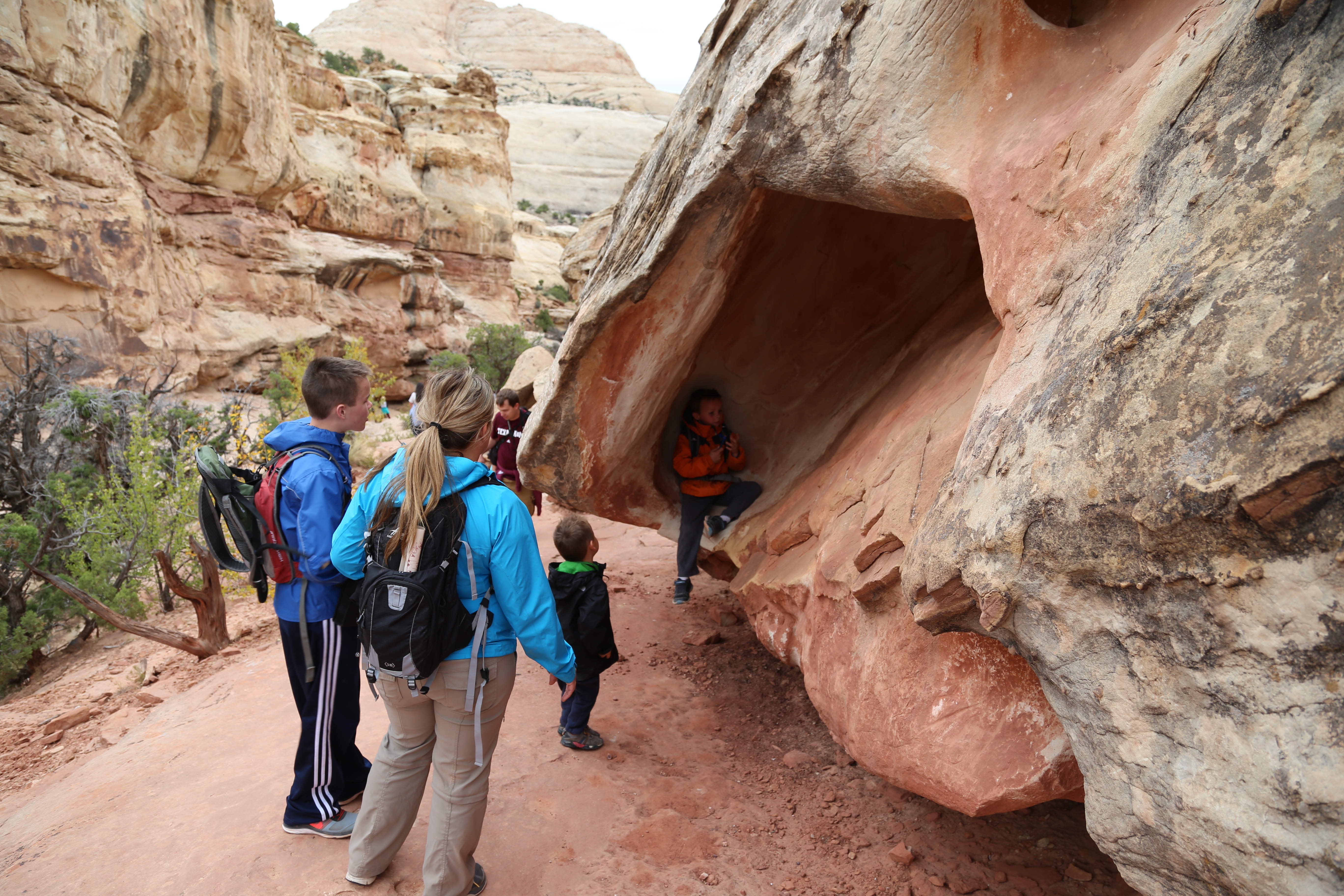 2015 Fall Break - Day 3 - Capitol Reef National Park (Gifford House Pies, Hickman Bridge Arch, Snakes Alive!, Picking Apples in the Fruita Pioneer Orchards, Goosenecks Overlook, Panorama Point), Eating Rattlesnakes at Cafe Diablo (Torrey, Utah)