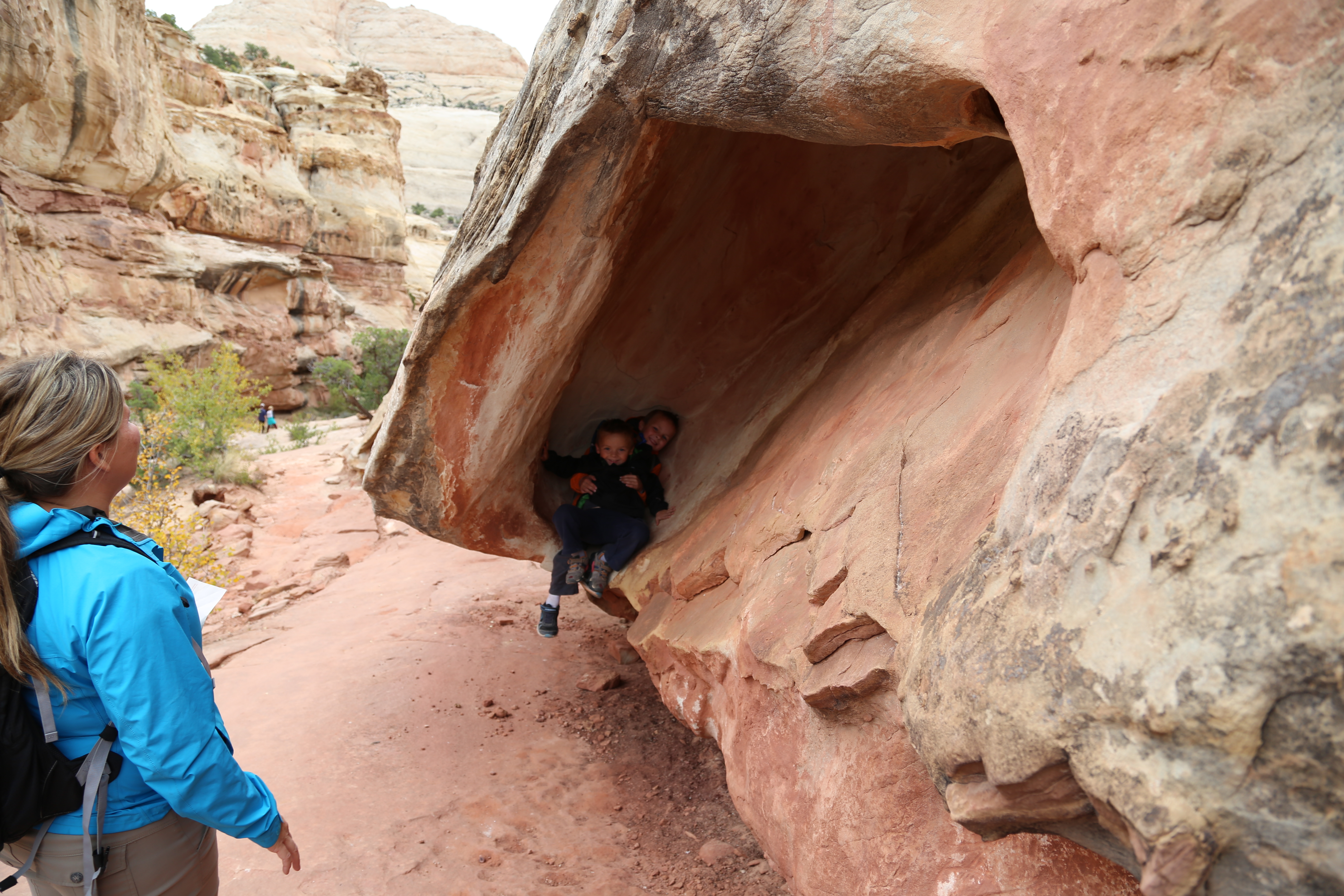 2015 Fall Break - Day 3 - Capitol Reef National Park (Gifford House Pies, Hickman Bridge Arch, Snakes Alive!, Picking Apples in the Fruita Pioneer Orchards, Goosenecks Overlook, Panorama Point), Eating Rattlesnakes at Cafe Diablo (Torrey, Utah)