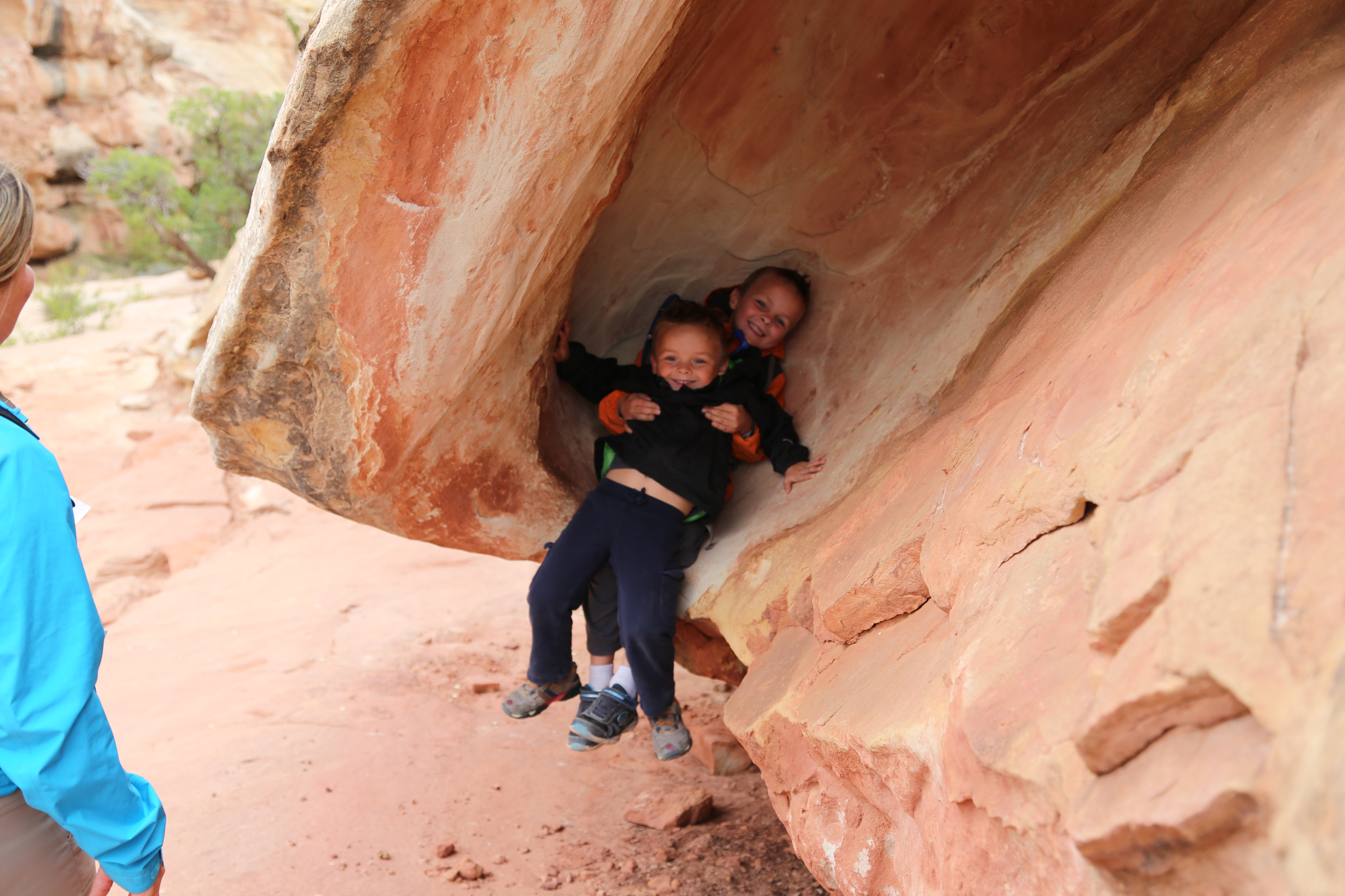 2015 Fall Break - Day 3 - Capitol Reef National Park (Gifford House Pies, Hickman Bridge Arch, Snakes Alive!, Picking Apples in the Fruita Pioneer Orchards, Goosenecks Overlook, Panorama Point), Eating Rattlesnakes at Cafe Diablo (Torrey, Utah)