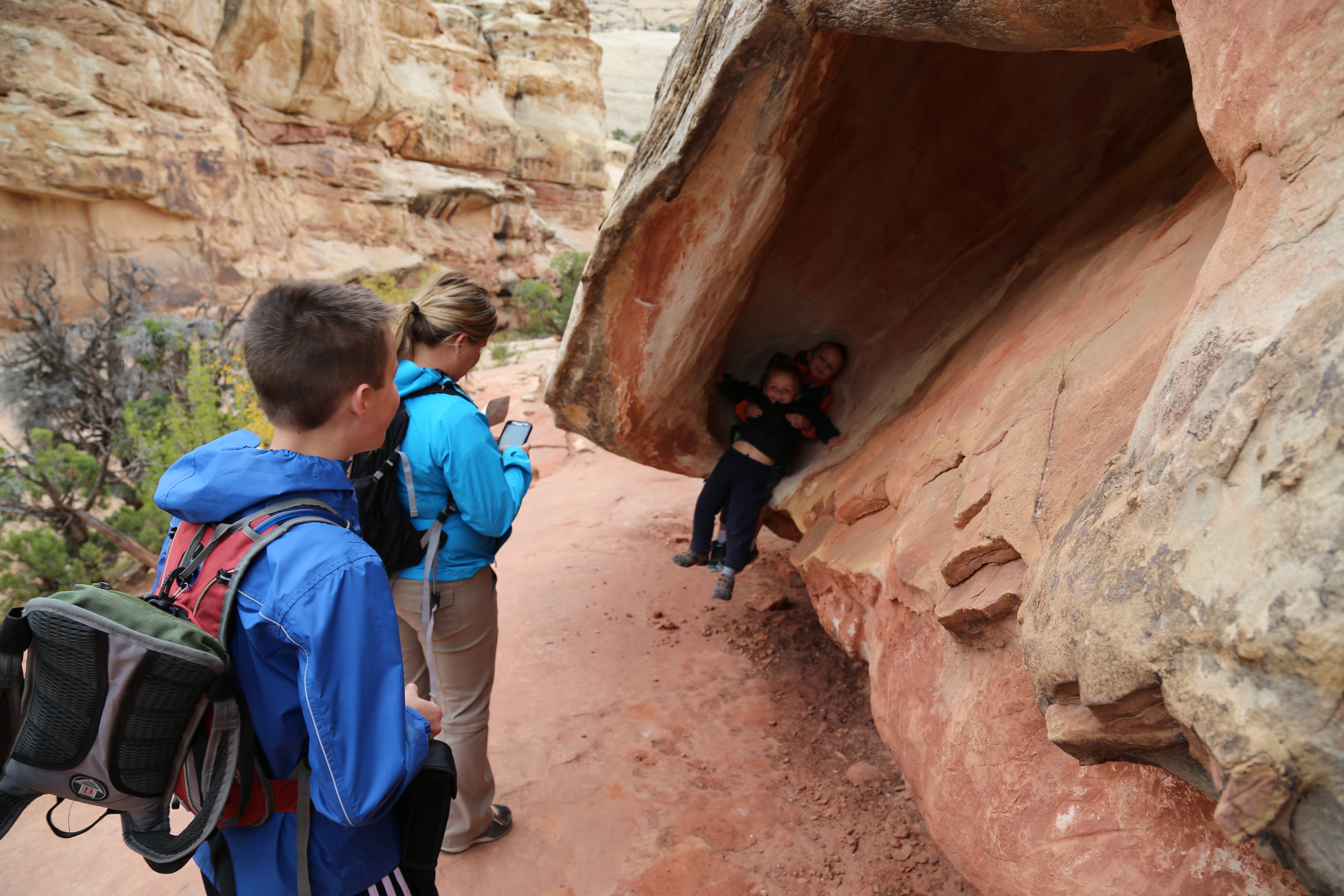 2015 Fall Break - Day 3 - Capitol Reef National Park (Gifford House Pies, Hickman Bridge Arch, Snakes Alive!, Picking Apples in the Fruita Pioneer Orchards, Goosenecks Overlook, Panorama Point), Eating Rattlesnakes at Cafe Diablo (Torrey, Utah)