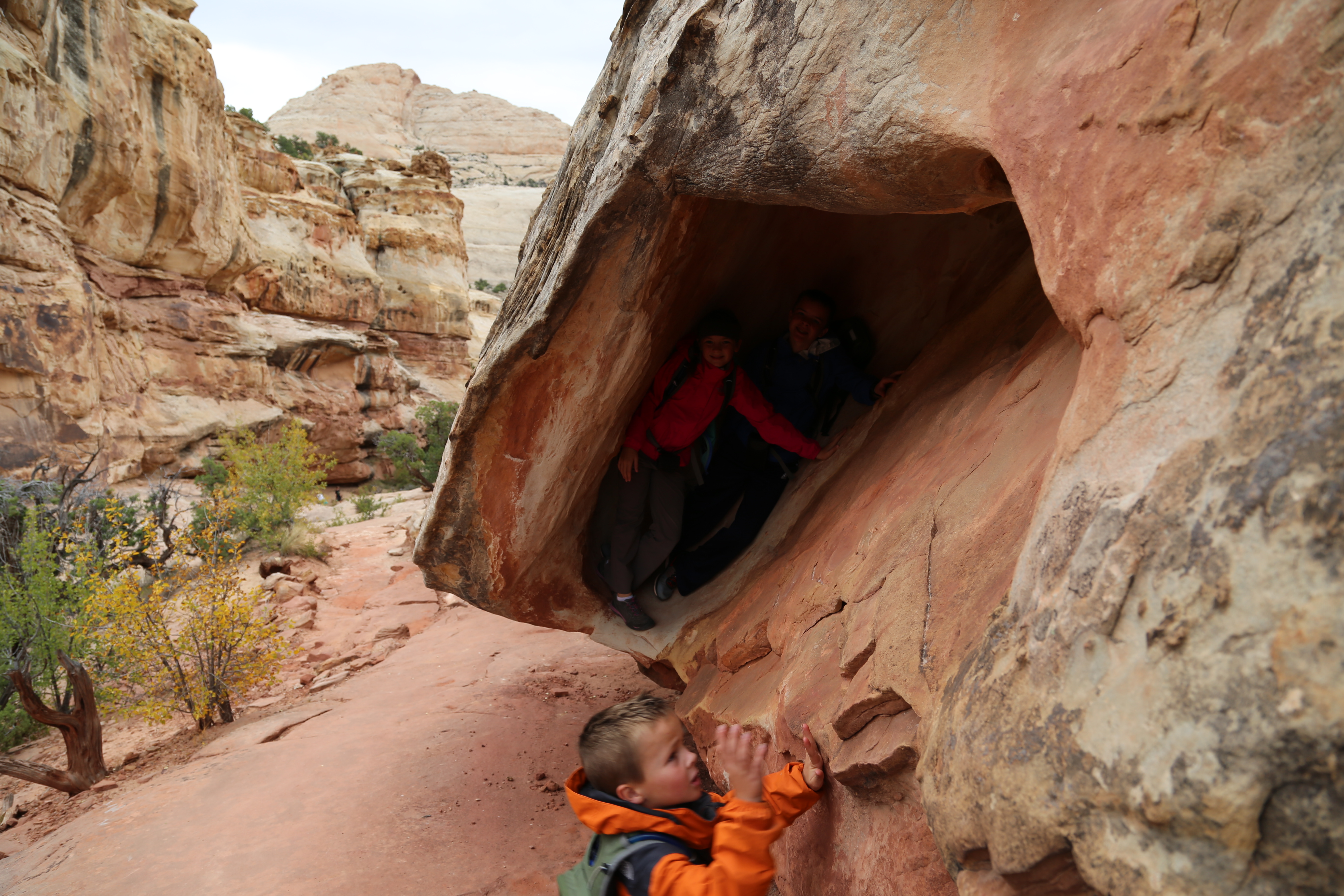 2015 Fall Break - Day 3 - Capitol Reef National Park (Gifford House Pies, Hickman Bridge Arch, Snakes Alive!, Picking Apples in the Fruita Pioneer Orchards, Goosenecks Overlook, Panorama Point), Eating Rattlesnakes at Cafe Diablo (Torrey, Utah)