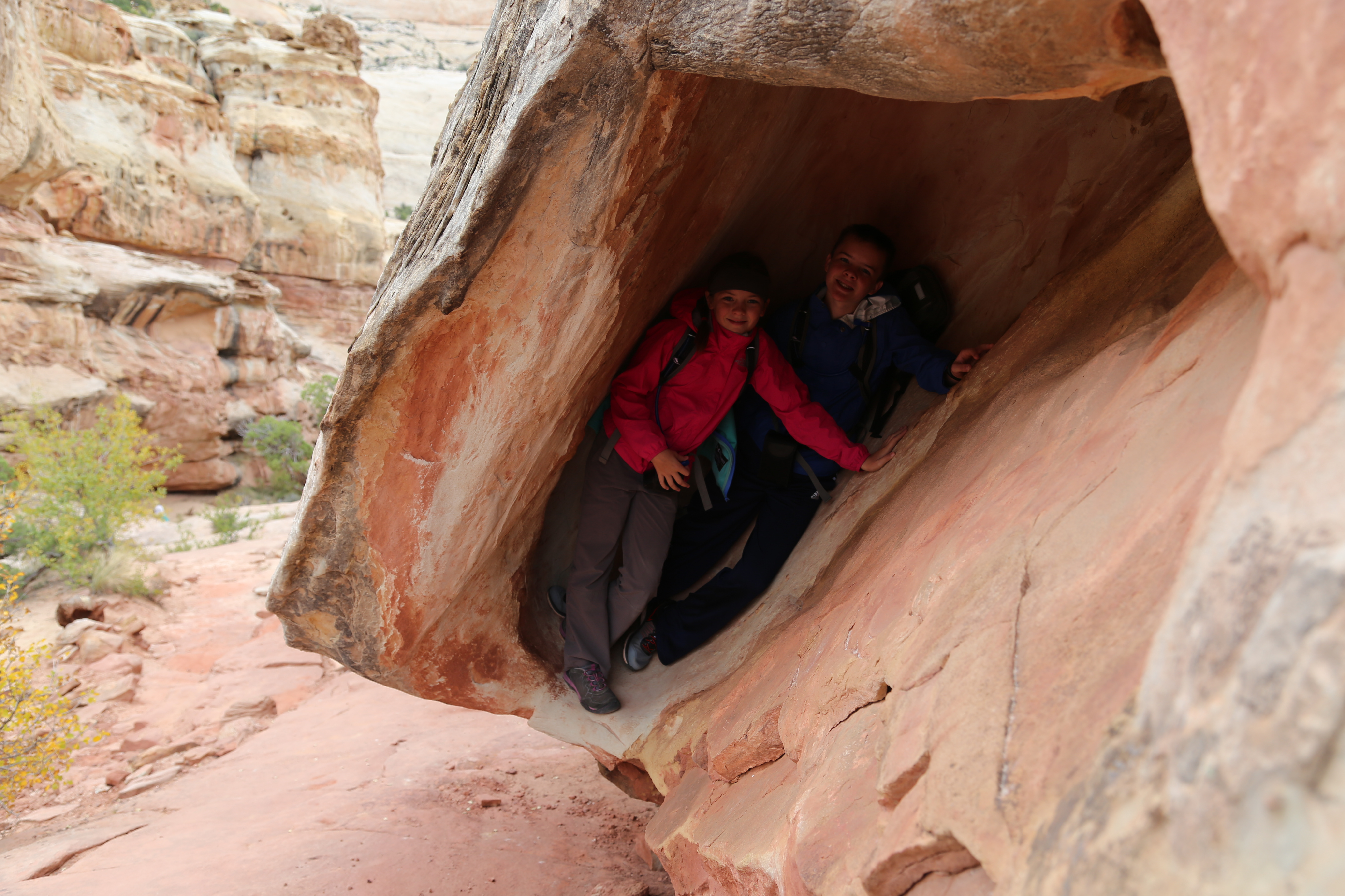 2015 Fall Break - Day 3 - Capitol Reef National Park (Gifford House Pies, Hickman Bridge Arch, Snakes Alive!, Picking Apples in the Fruita Pioneer Orchards, Goosenecks Overlook, Panorama Point), Eating Rattlesnakes at Cafe Diablo (Torrey, Utah)