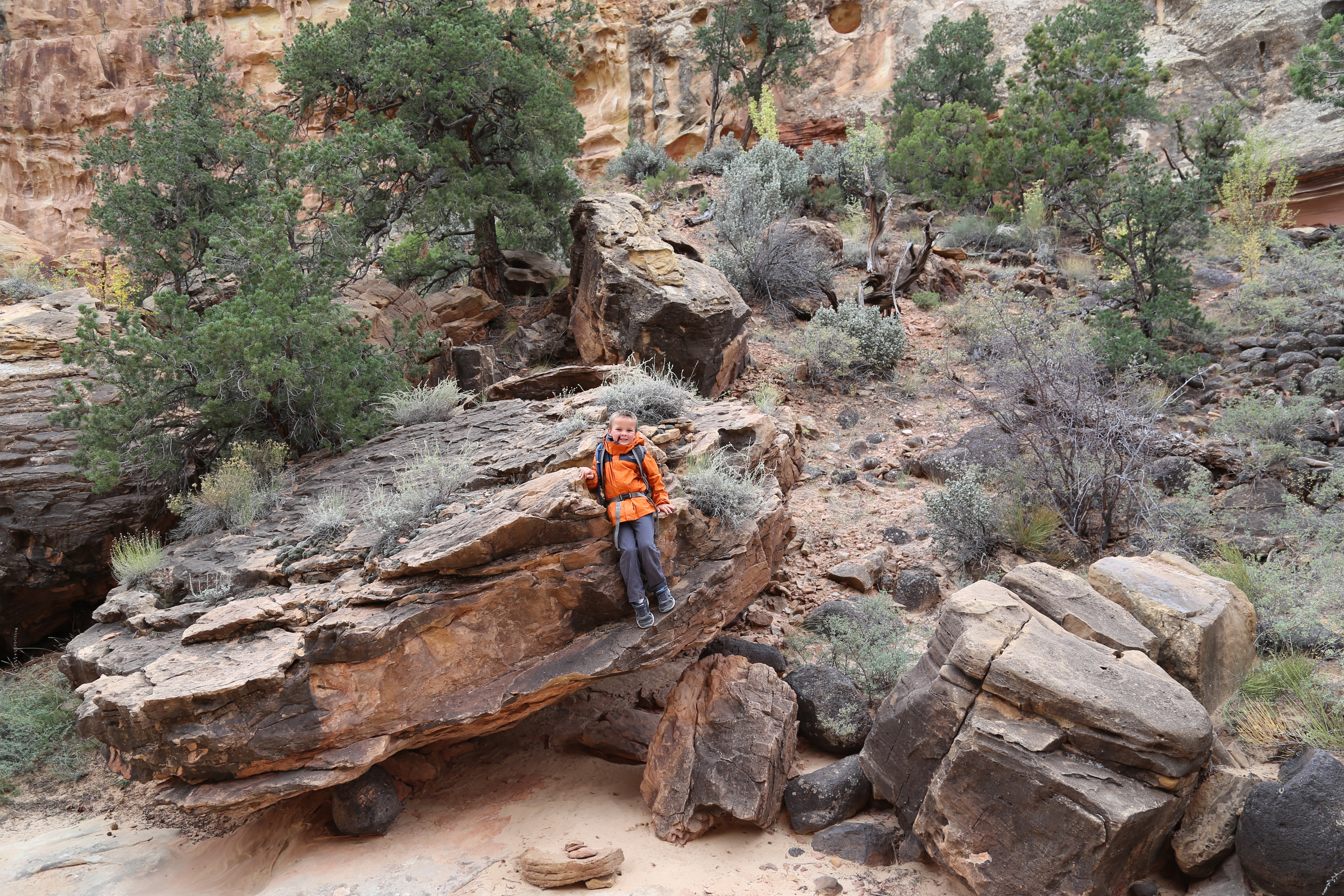 2015 Fall Break - Day 3 - Capitol Reef National Park (Gifford House Pies, Hickman Bridge Arch, Snakes Alive!, Picking Apples in the Fruita Pioneer Orchards, Goosenecks Overlook, Panorama Point), Eating Rattlesnakes at Cafe Diablo (Torrey, Utah)