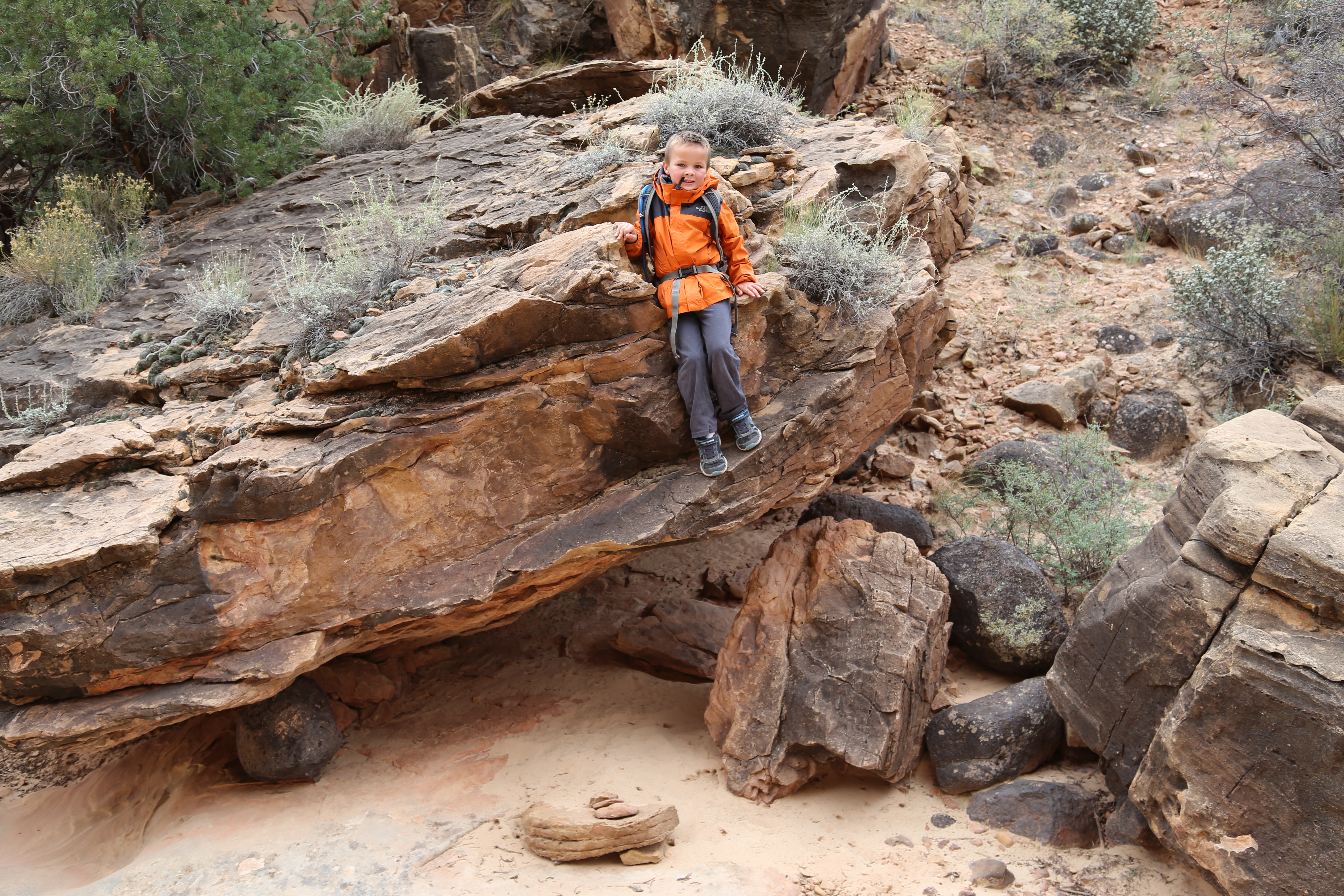 2015 Fall Break - Day 3 - Capitol Reef National Park (Gifford House Pies, Hickman Bridge Arch, Snakes Alive!, Picking Apples in the Fruita Pioneer Orchards, Goosenecks Overlook, Panorama Point), Eating Rattlesnakes at Cafe Diablo (Torrey, Utah)