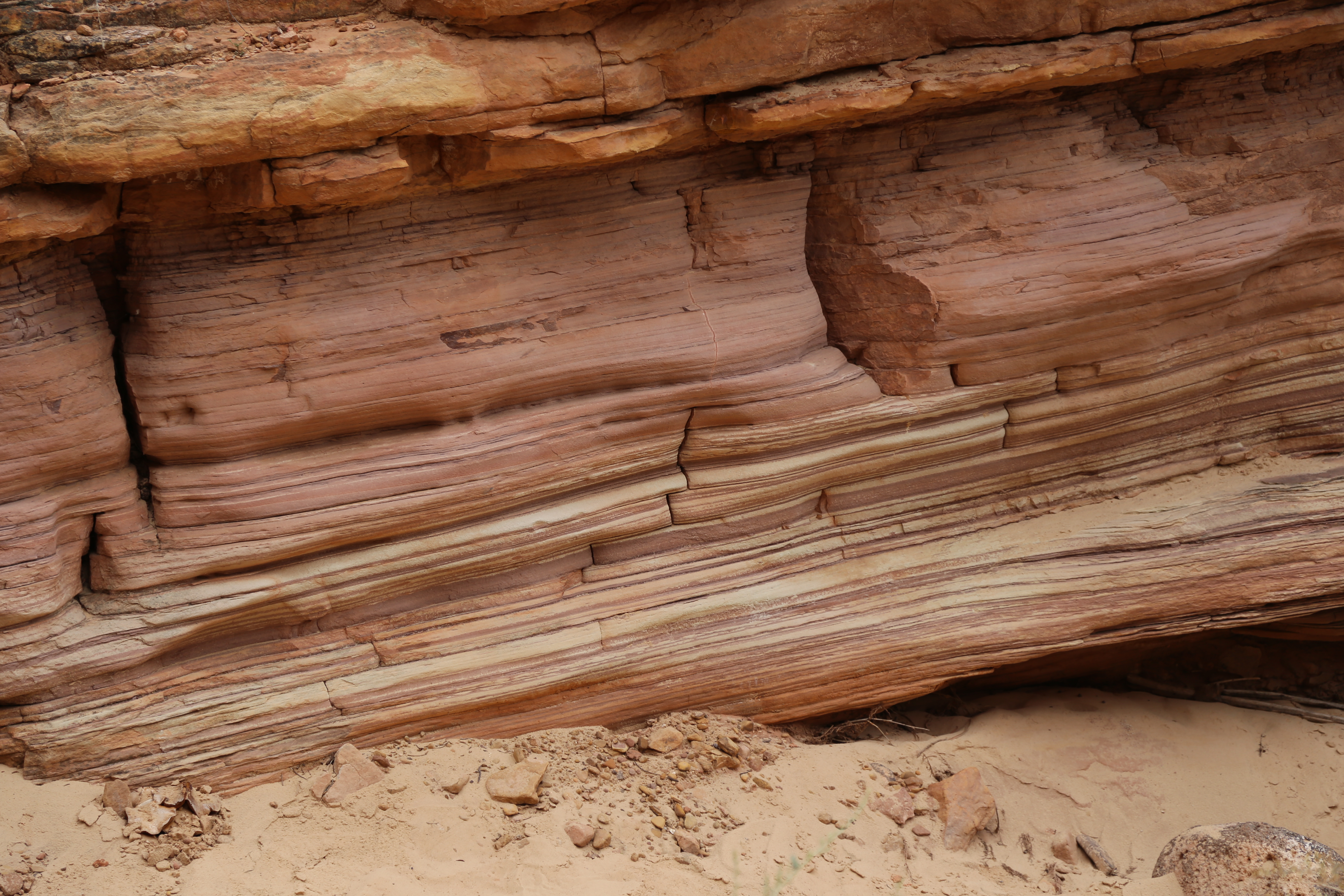 2015 Fall Break - Day 3 - Capitol Reef National Park (Gifford House Pies, Hickman Bridge Arch, Snakes Alive!, Picking Apples in the Fruita Pioneer Orchards, Goosenecks Overlook, Panorama Point), Eating Rattlesnakes at Cafe Diablo (Torrey, Utah)