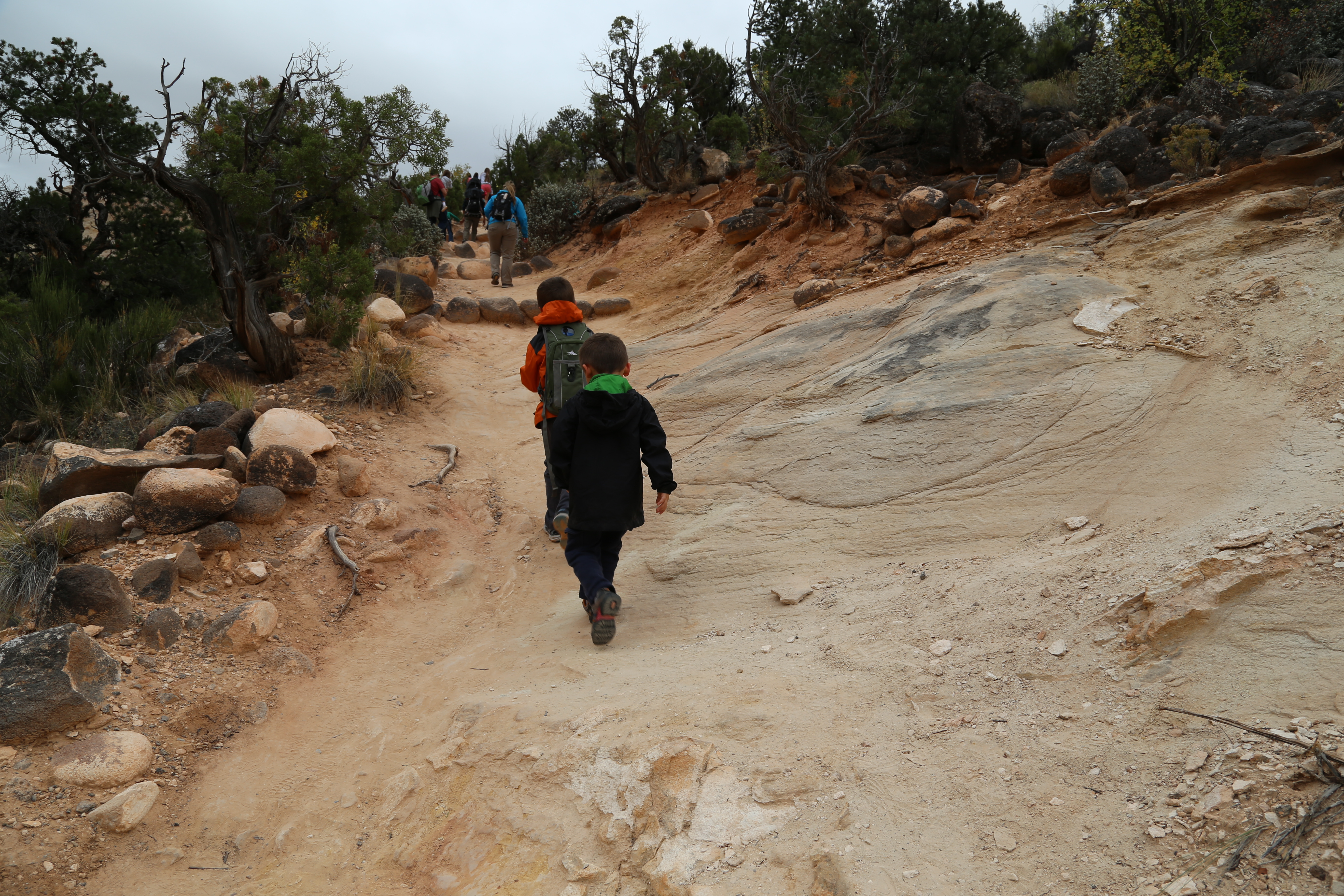 2015 Fall Break - Day 3 - Capitol Reef National Park (Gifford House Pies, Hickman Bridge Arch, Snakes Alive!, Picking Apples in the Fruita Pioneer Orchards, Goosenecks Overlook, Panorama Point), Eating Rattlesnakes at Cafe Diablo (Torrey, Utah)