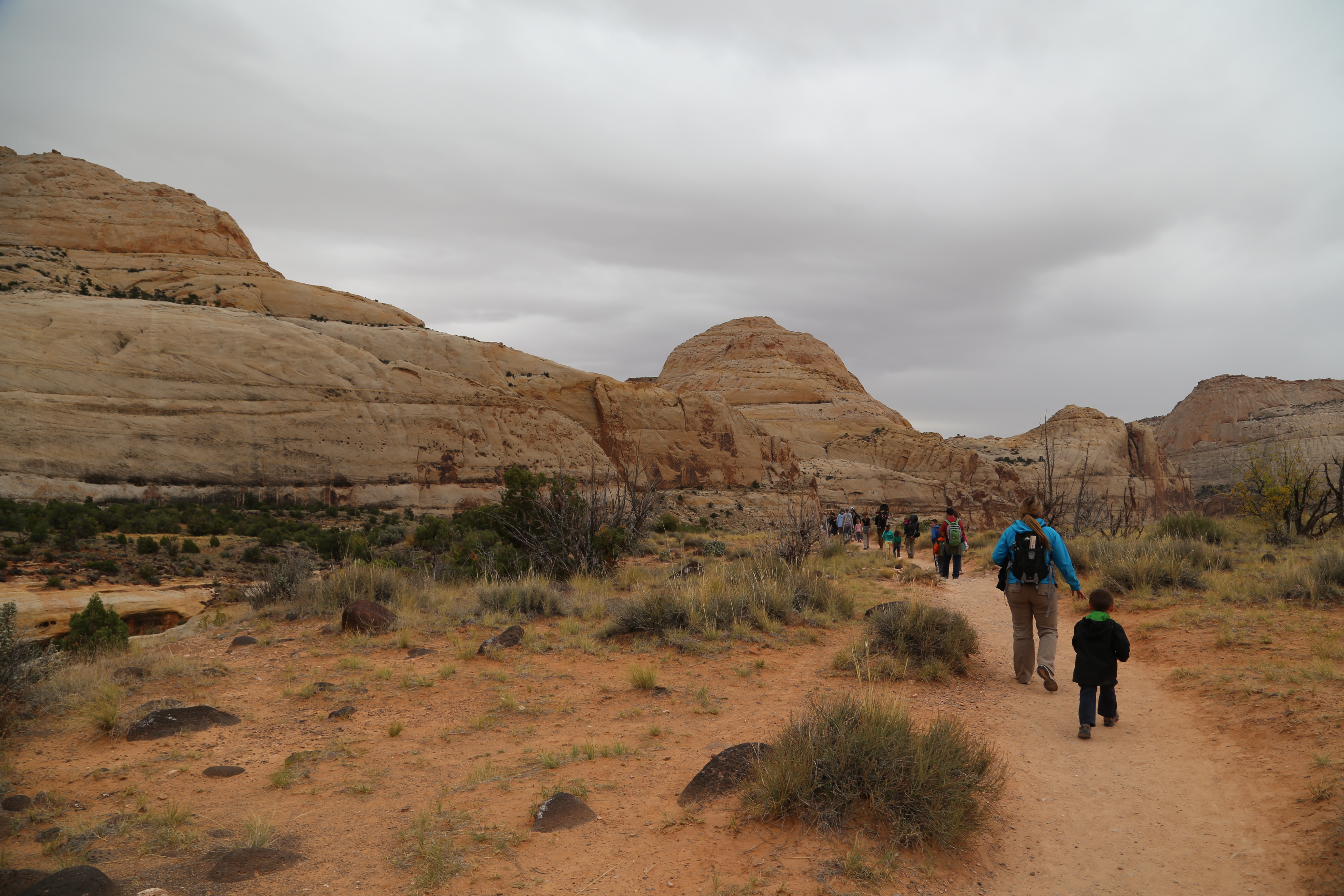 2015 Fall Break - Day 3 - Capitol Reef National Park (Gifford House Pies, Hickman Bridge Arch, Snakes Alive!, Picking Apples in the Fruita Pioneer Orchards, Goosenecks Overlook, Panorama Point), Eating Rattlesnakes at Cafe Diablo (Torrey, Utah)