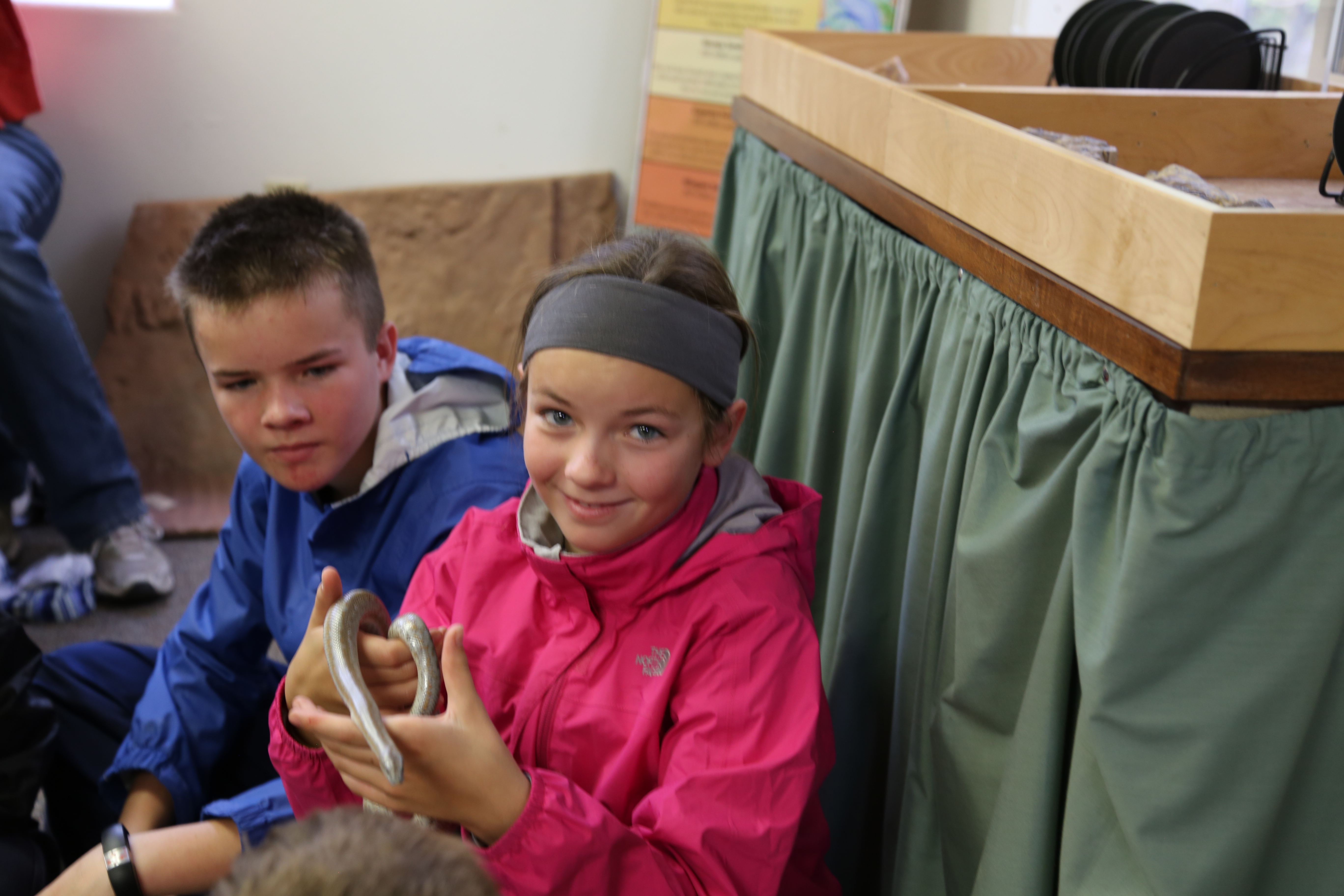 2015 Fall Break - Day 3 - Capitol Reef National Park (Gifford House Pies, Hickman Bridge Arch, Snakes Alive!, Picking Apples in the Fruita Pioneer Orchards, Goosenecks Overlook, Panorama Point), Eating Rattlesnakes at Cafe Diablo (Torrey, Utah)