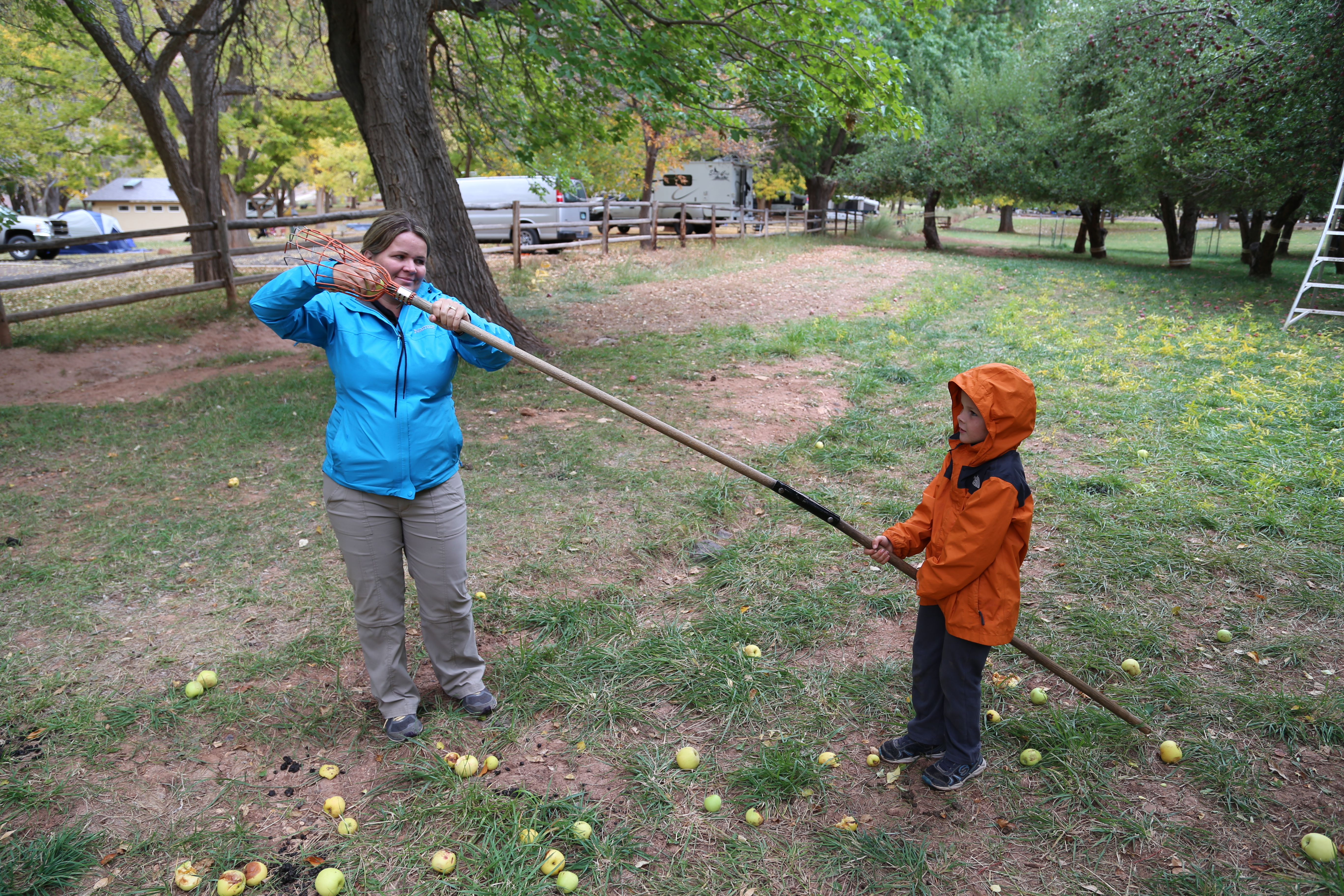 2015 Fall Break - Day 3 - Capitol Reef National Park (Gifford House Pies, Hickman Bridge Arch, Snakes Alive!, Picking Apples in the Fruita Pioneer Orchards, Goosenecks Overlook, Panorama Point), Eating Rattlesnakes at Cafe Diablo (Torrey, Utah)