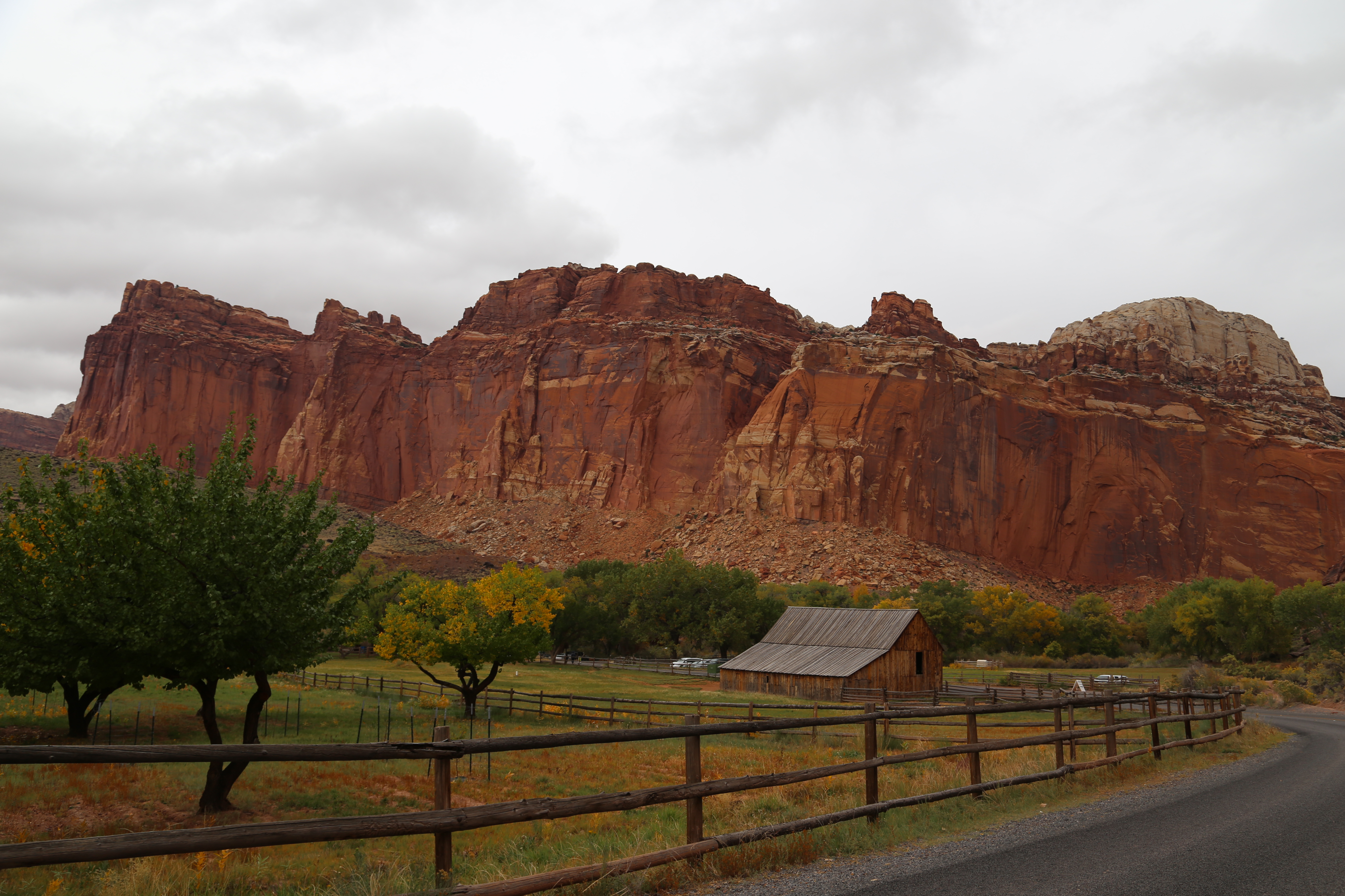 2015 Fall Break - Day 3 - Capitol Reef National Park (Gifford House Pies, Hickman Bridge Arch, Snakes Alive!, Picking Apples in the Fruita Pioneer Orchards, Goosenecks Overlook, Panorama Point), Eating Rattlesnakes at Cafe Diablo (Torrey, Utah)