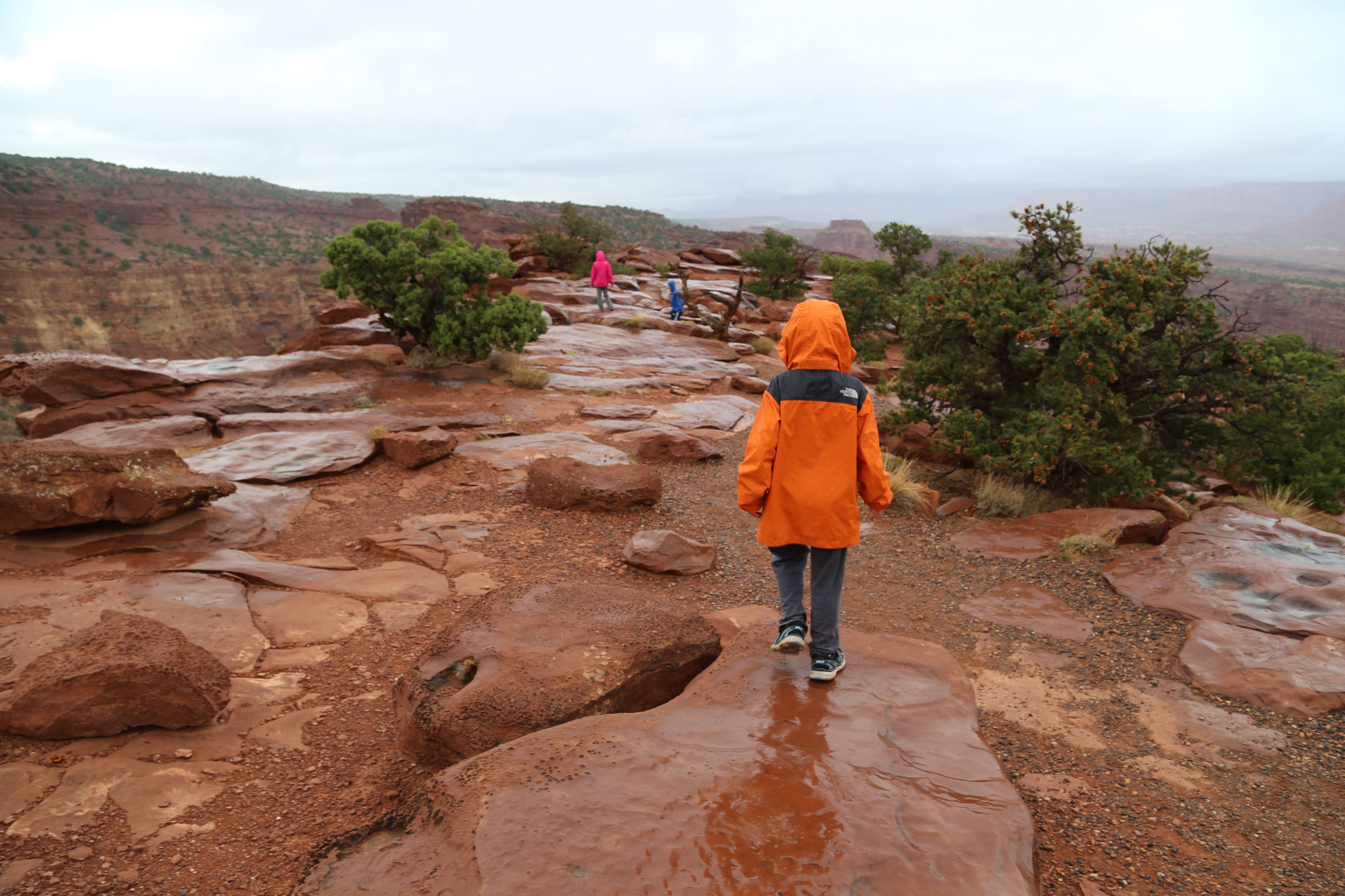 2015 Fall Break - Day 3 - Capitol Reef National Park (Gifford House Pies, Hickman Bridge Arch, Snakes Alive!, Picking Apples in the Fruita Pioneer Orchards, Goosenecks Overlook, Panorama Point), Eating Rattlesnakes at Cafe Diablo (Torrey, Utah)