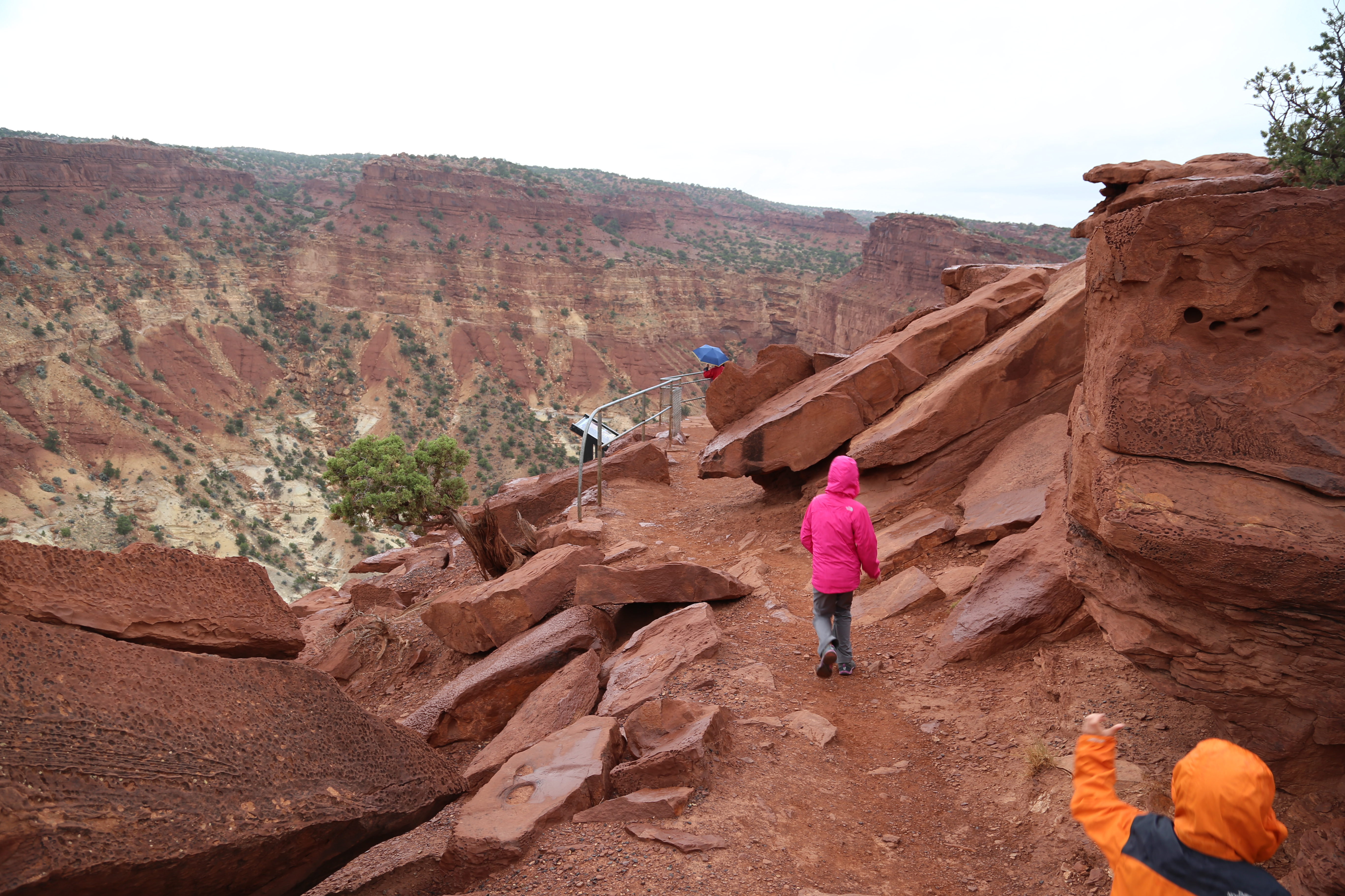 2015 Fall Break - Day 3 - Capitol Reef National Park (Gifford House Pies, Hickman Bridge Arch, Snakes Alive!, Picking Apples in the Fruita Pioneer Orchards, Goosenecks Overlook, Panorama Point), Eating Rattlesnakes at Cafe Diablo (Torrey, Utah)