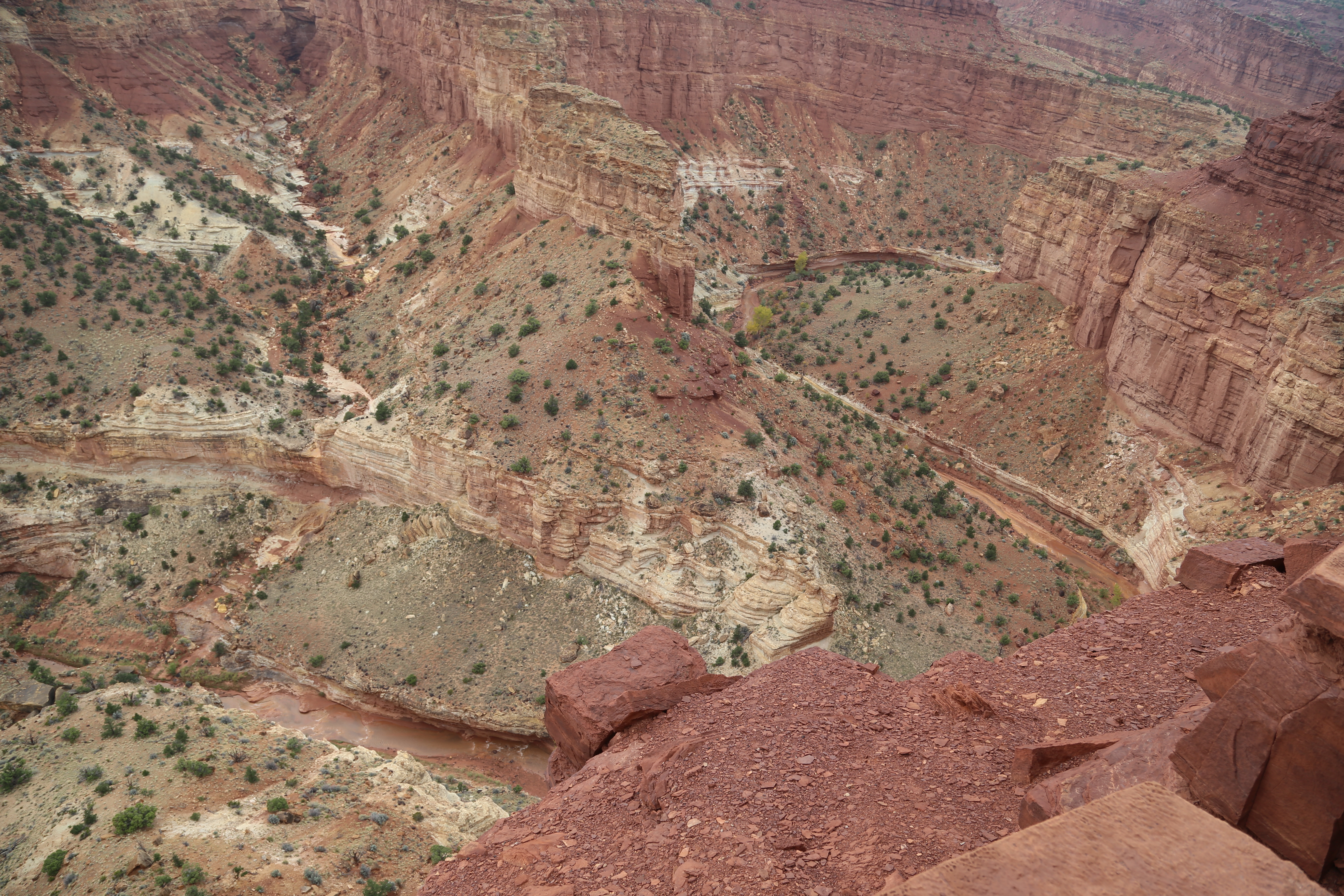 2015 Fall Break - Day 3 - Capitol Reef National Park (Gifford House Pies, Hickman Bridge Arch, Snakes Alive!, Picking Apples in the Fruita Pioneer Orchards, Goosenecks Overlook, Panorama Point), Eating Rattlesnakes at Cafe Diablo (Torrey, Utah)