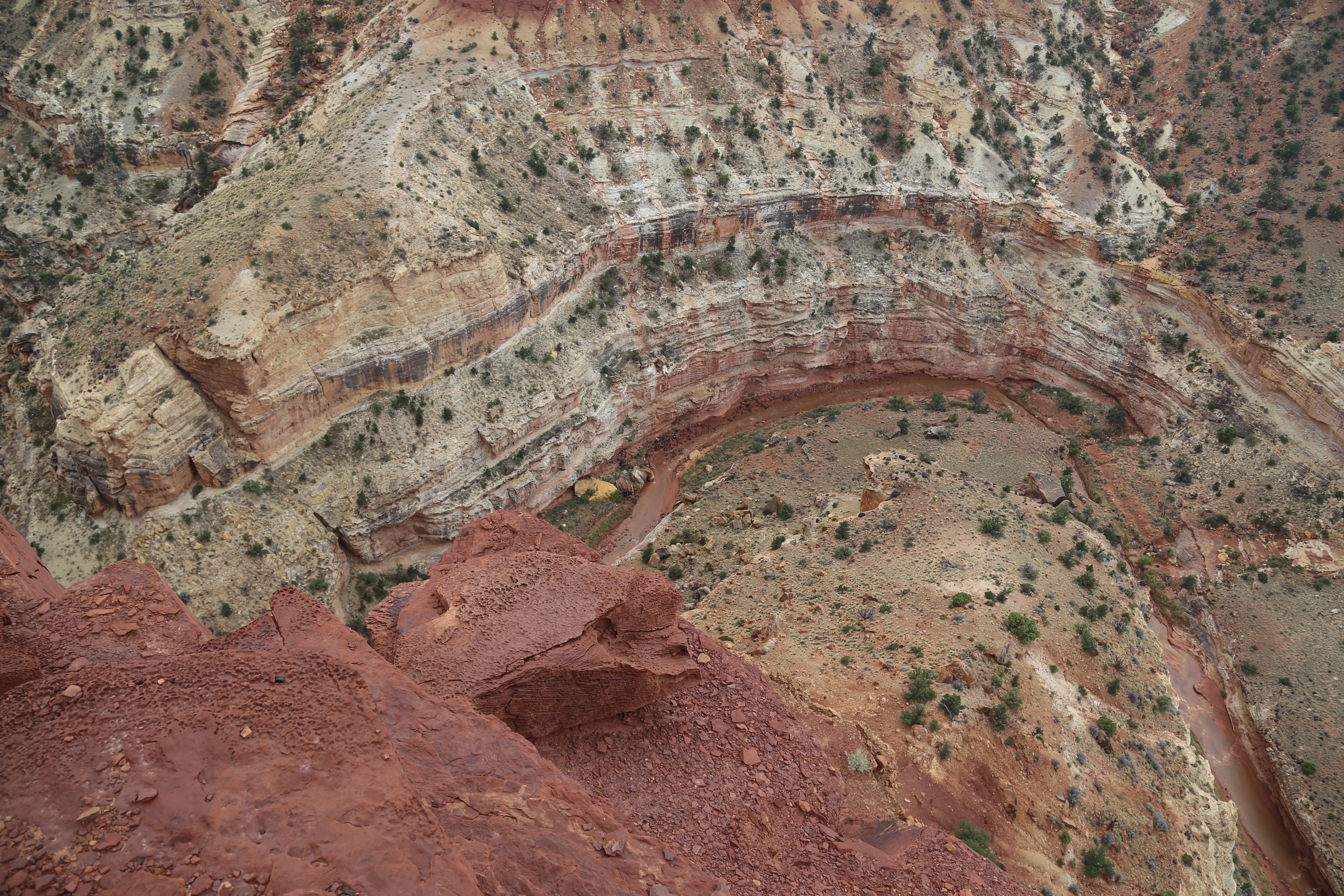 2015 Fall Break - Day 3 - Capitol Reef National Park (Gifford House Pies, Hickman Bridge Arch, Snakes Alive!, Picking Apples in the Fruita Pioneer Orchards, Goosenecks Overlook, Panorama Point), Eating Rattlesnakes at Cafe Diablo (Torrey, Utah)