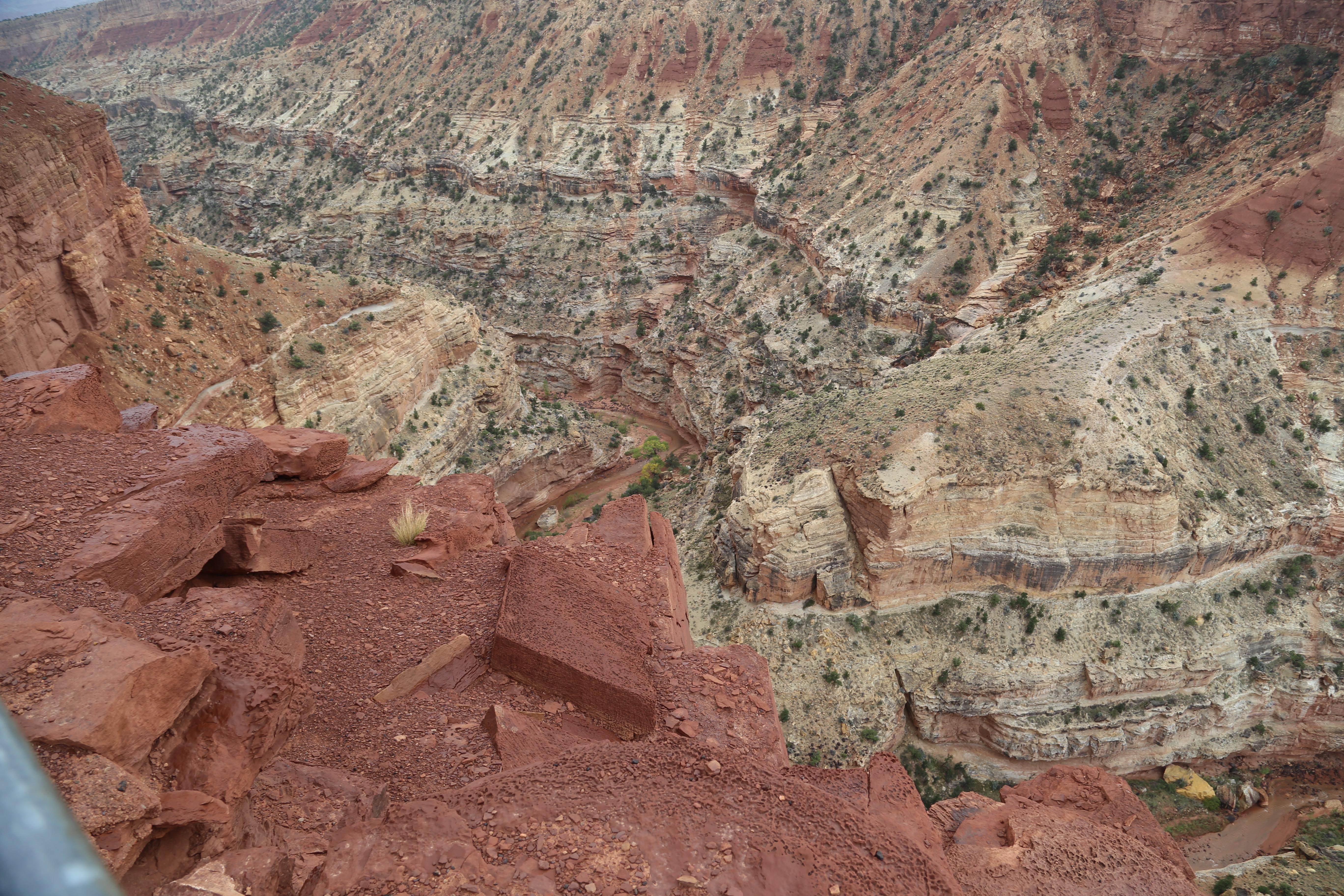 2015 Fall Break - Day 3 - Capitol Reef National Park (Gifford House Pies, Hickman Bridge Arch, Snakes Alive!, Picking Apples in the Fruita Pioneer Orchards, Goosenecks Overlook, Panorama Point), Eating Rattlesnakes at Cafe Diablo (Torrey, Utah)