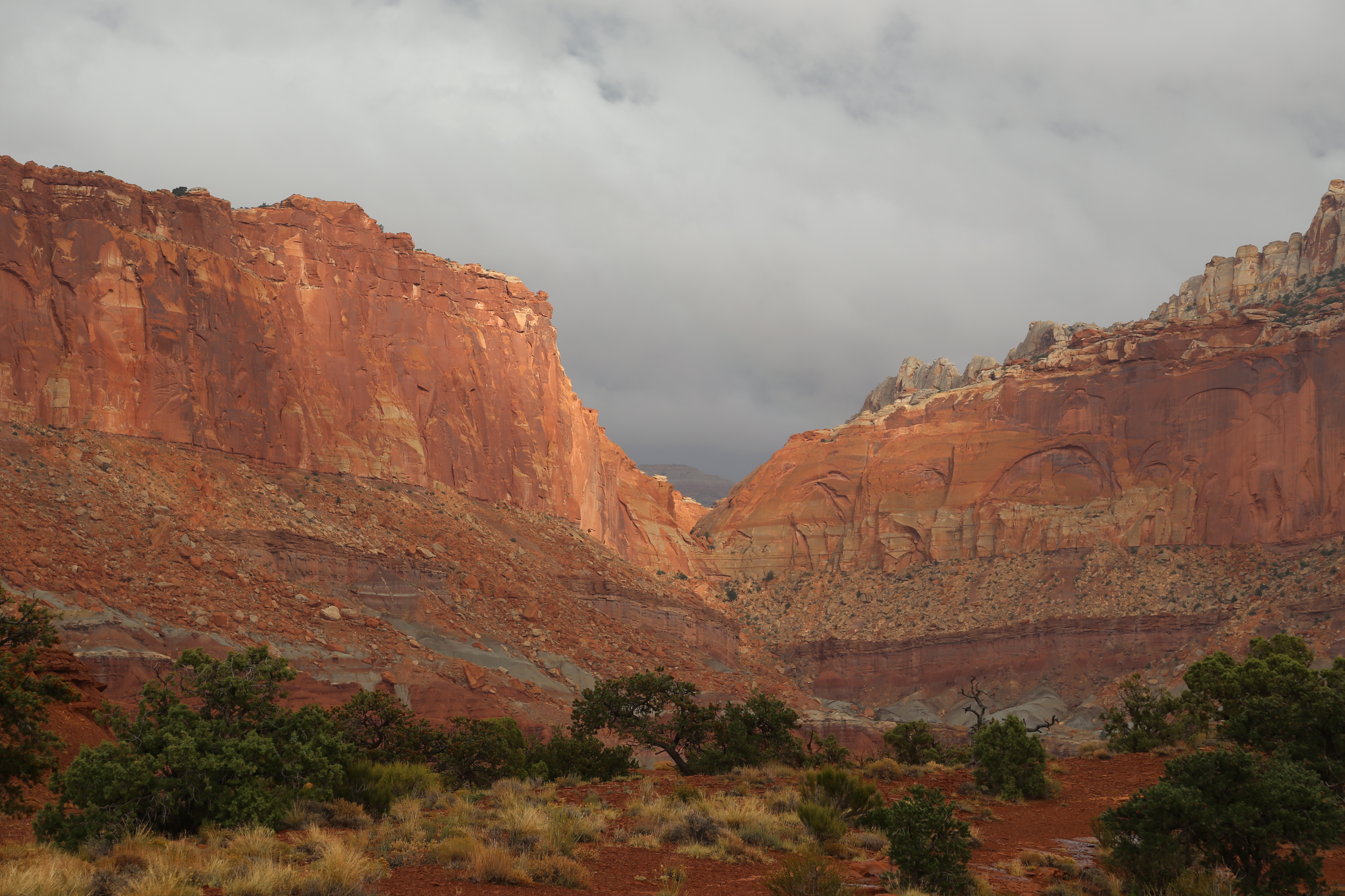 2015 Fall Break - Day 3 - Capitol Reef National Park (Gifford House Pies, Hickman Bridge Arch, Snakes Alive!, Picking Apples in the Fruita Pioneer Orchards, Goosenecks Overlook, Panorama Point), Eating Rattlesnakes at Cafe Diablo (Torrey, Utah)