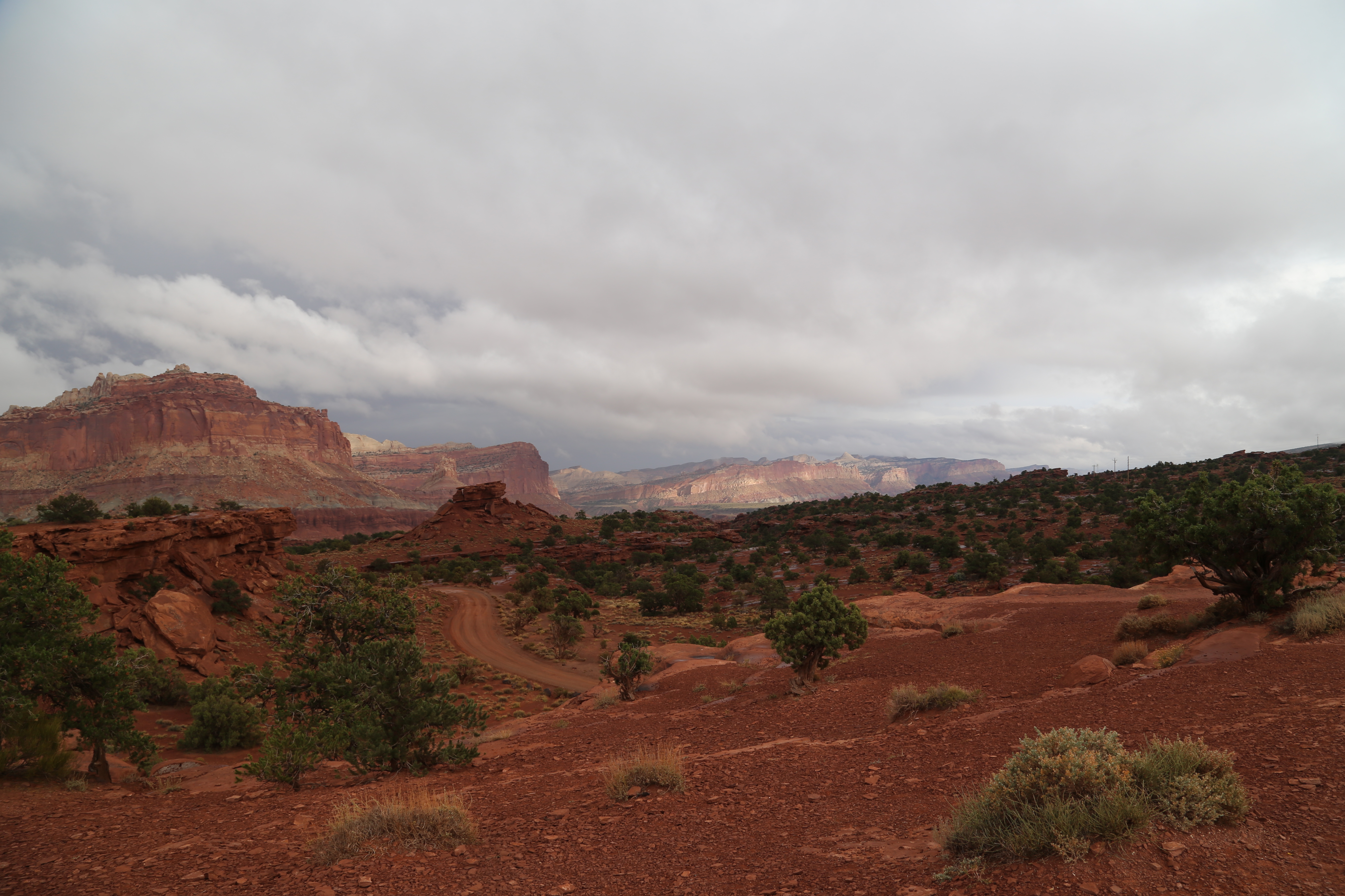 2015 Fall Break - Day 3 - Capitol Reef National Park (Gifford House Pies, Hickman Bridge Arch, Snakes Alive!, Picking Apples in the Fruita Pioneer Orchards, Goosenecks Overlook, Panorama Point), Eating Rattlesnakes at Cafe Diablo (Torrey, Utah)