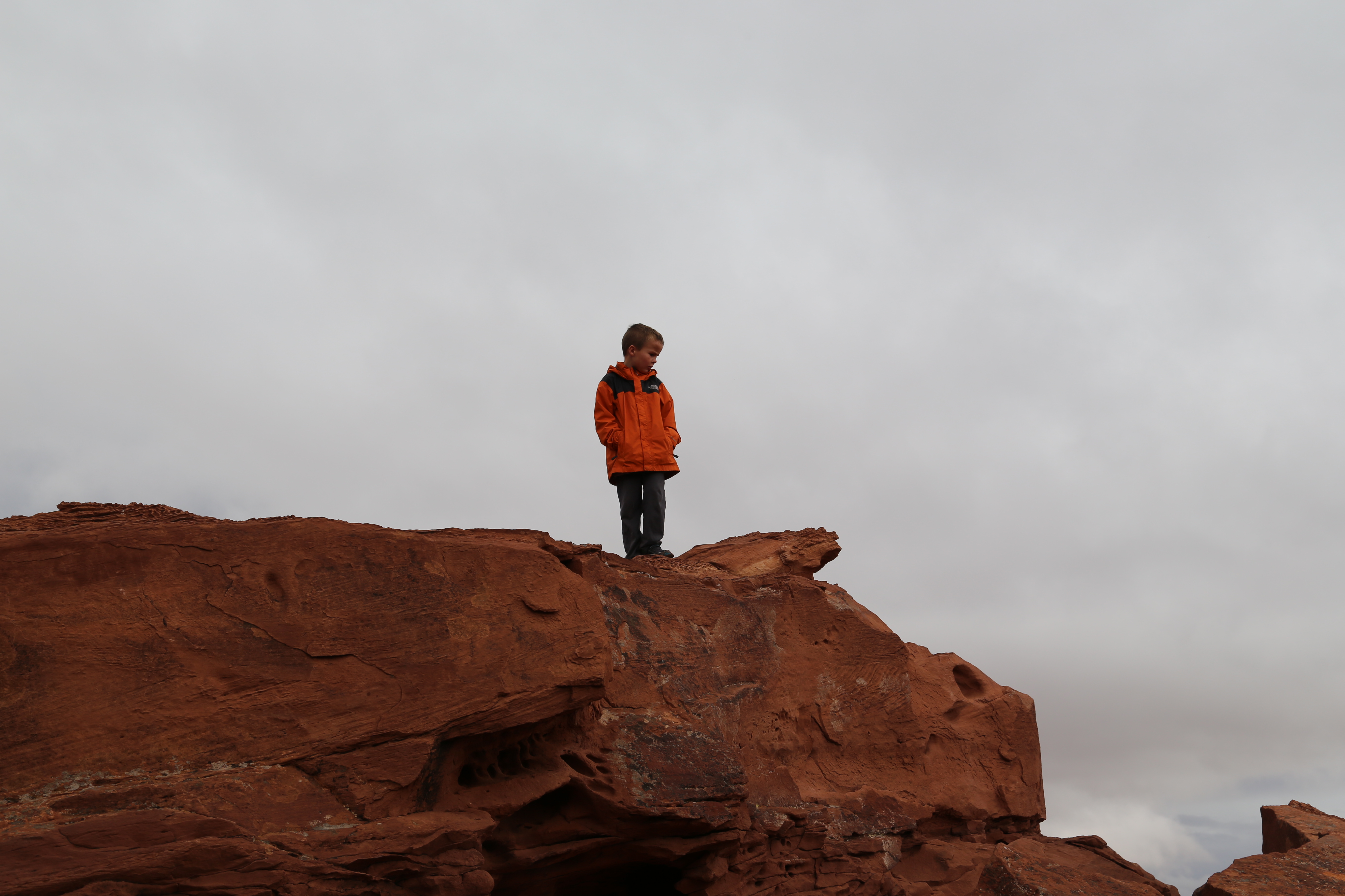 2015 Fall Break - Day 3 - Capitol Reef National Park (Gifford House Pies, Hickman Bridge Arch, Snakes Alive!, Picking Apples in the Fruita Pioneer Orchards, Goosenecks Overlook, Panorama Point), Eating Rattlesnakes at Cafe Diablo (Torrey, Utah)