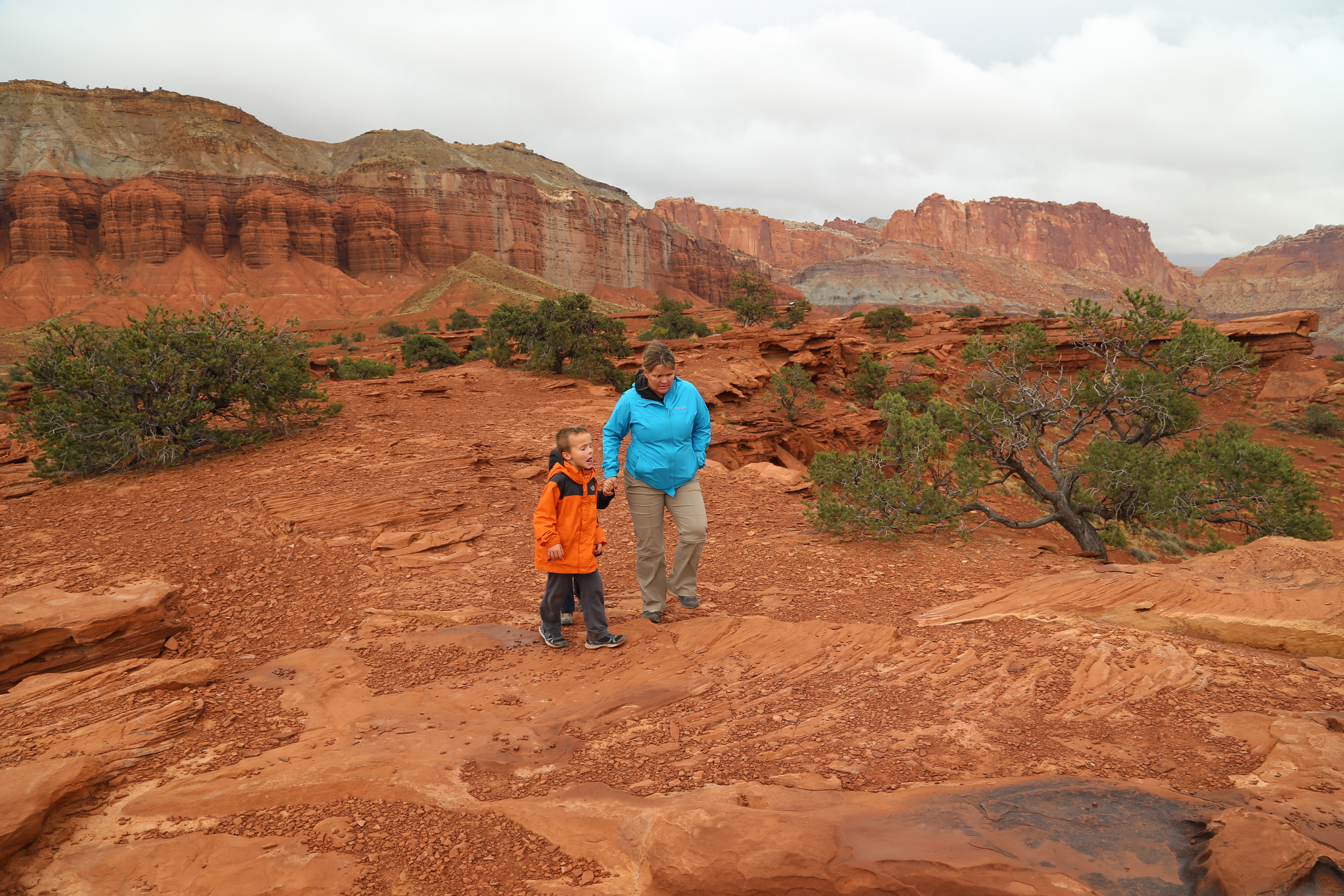 2015 Fall Break - Day 3 - Capitol Reef National Park (Gifford House Pies, Hickman Bridge Arch, Snakes Alive!, Picking Apples in the Fruita Pioneer Orchards, Goosenecks Overlook, Panorama Point), Eating Rattlesnakes at Cafe Diablo (Torrey, Utah)