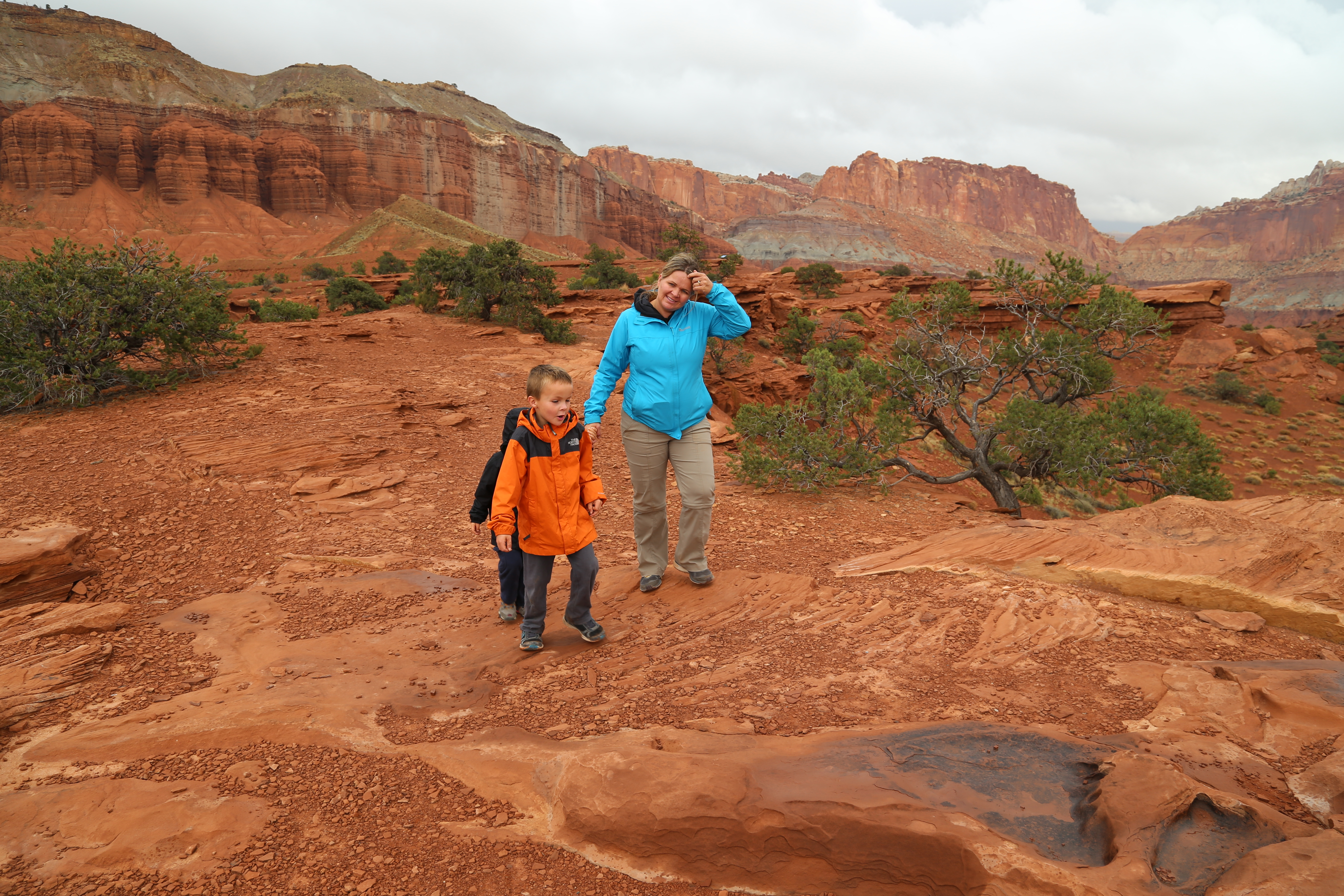 2015 Fall Break - Day 3 - Capitol Reef National Park (Gifford House Pies, Hickman Bridge Arch, Snakes Alive!, Picking Apples in the Fruita Pioneer Orchards, Goosenecks Overlook, Panorama Point), Eating Rattlesnakes at Cafe Diablo (Torrey, Utah)